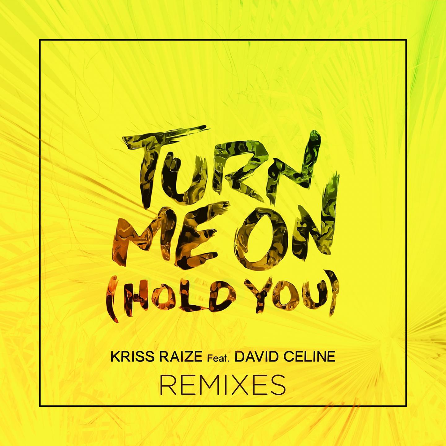 Постер альбома Turn Me on (Hold You) (Remixes)