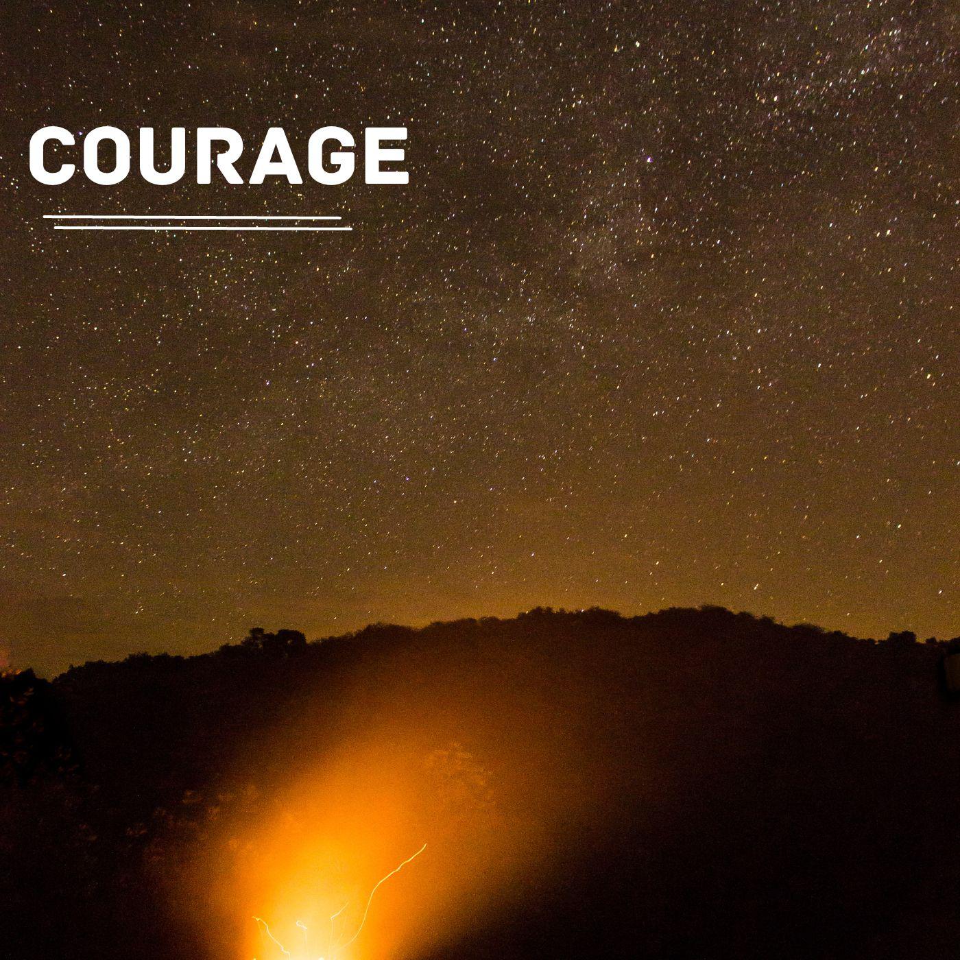 Постер альбома Courage