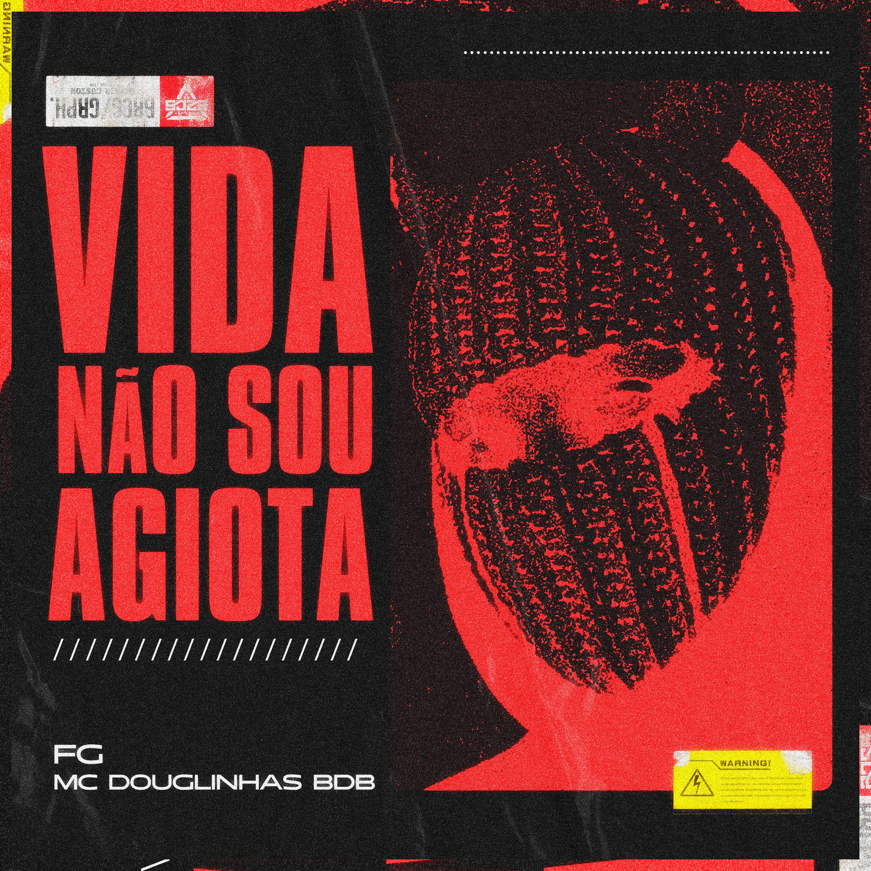 Постер альбома Vida Não Sou Agiota