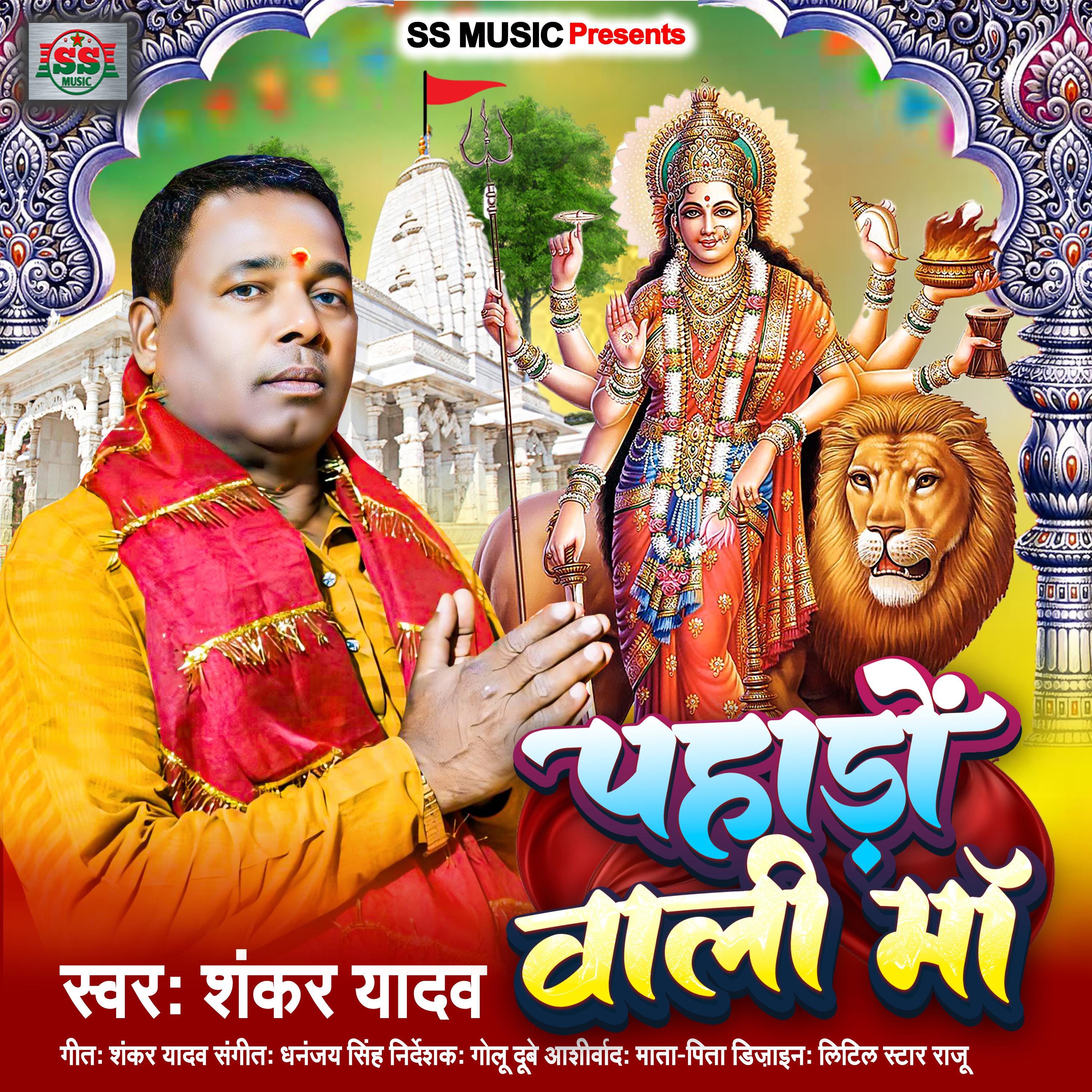 Постер альбома Pahado Wali Maa