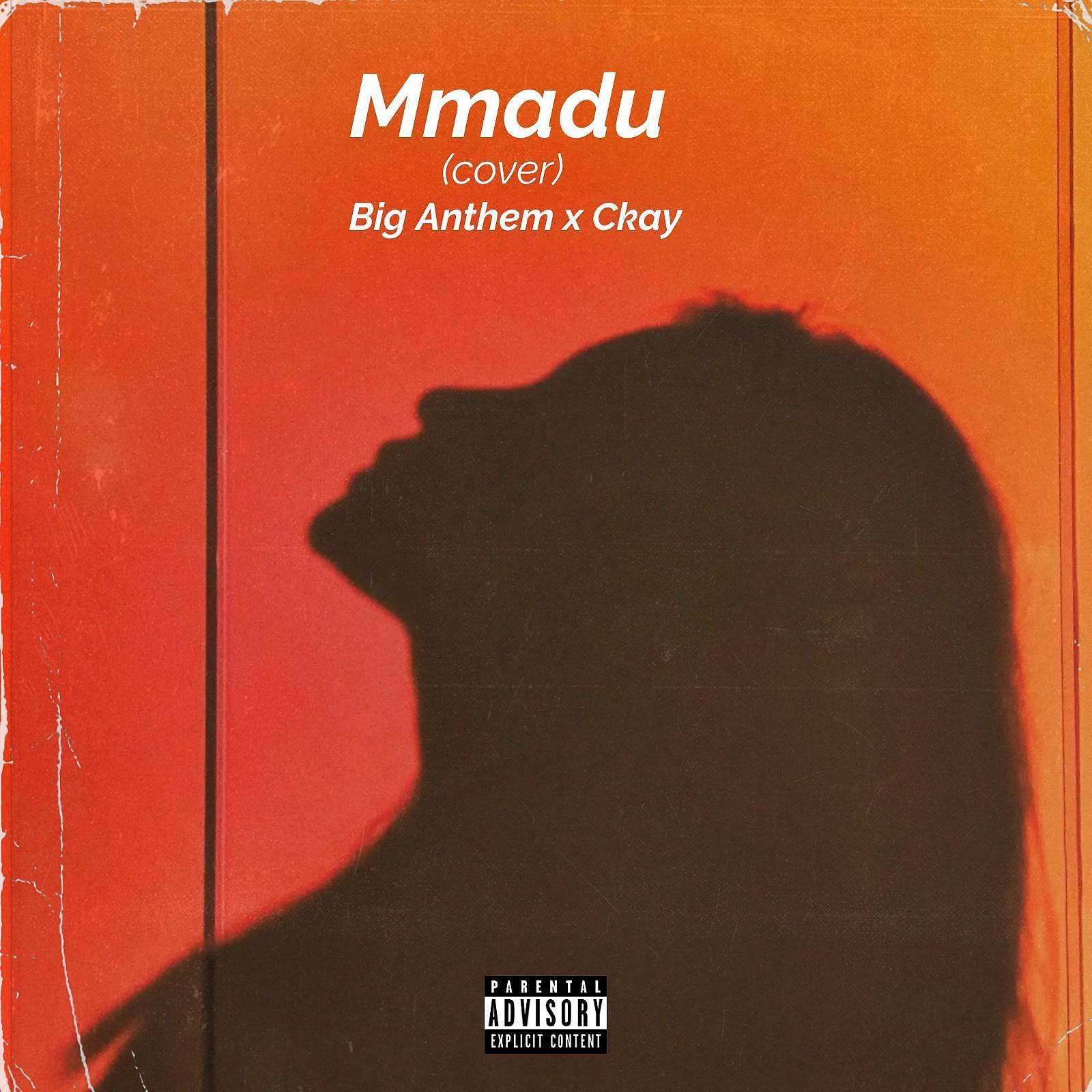 Постер альбома Mmadu(cover) (feat. Ckay)