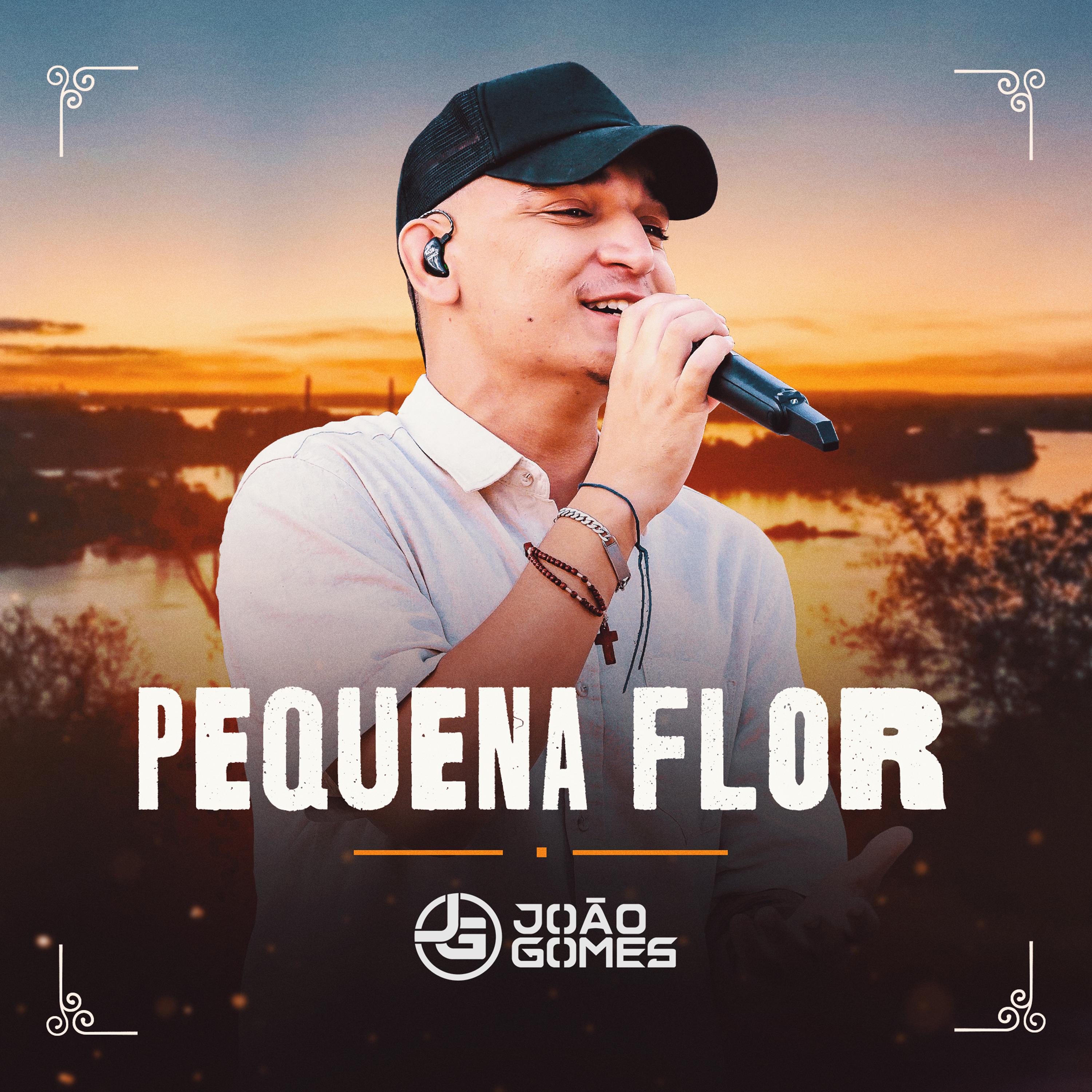 Постер альбома Pequena Flor