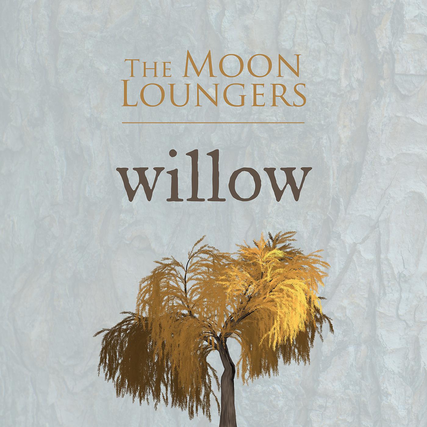 Постер альбома Willow (Acoustic Cover)