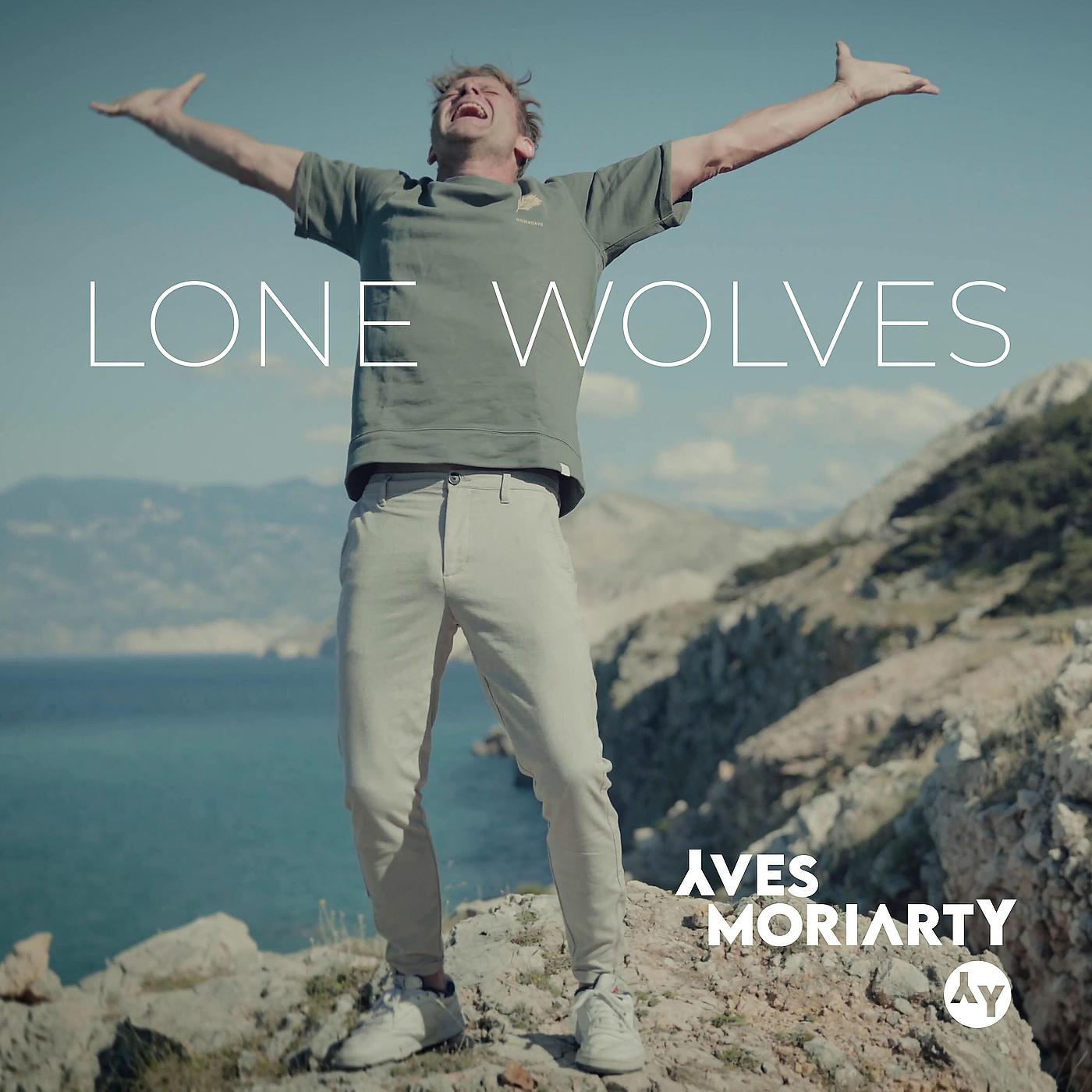 Постер альбома Lone Wolves (Baška Beach Mix)