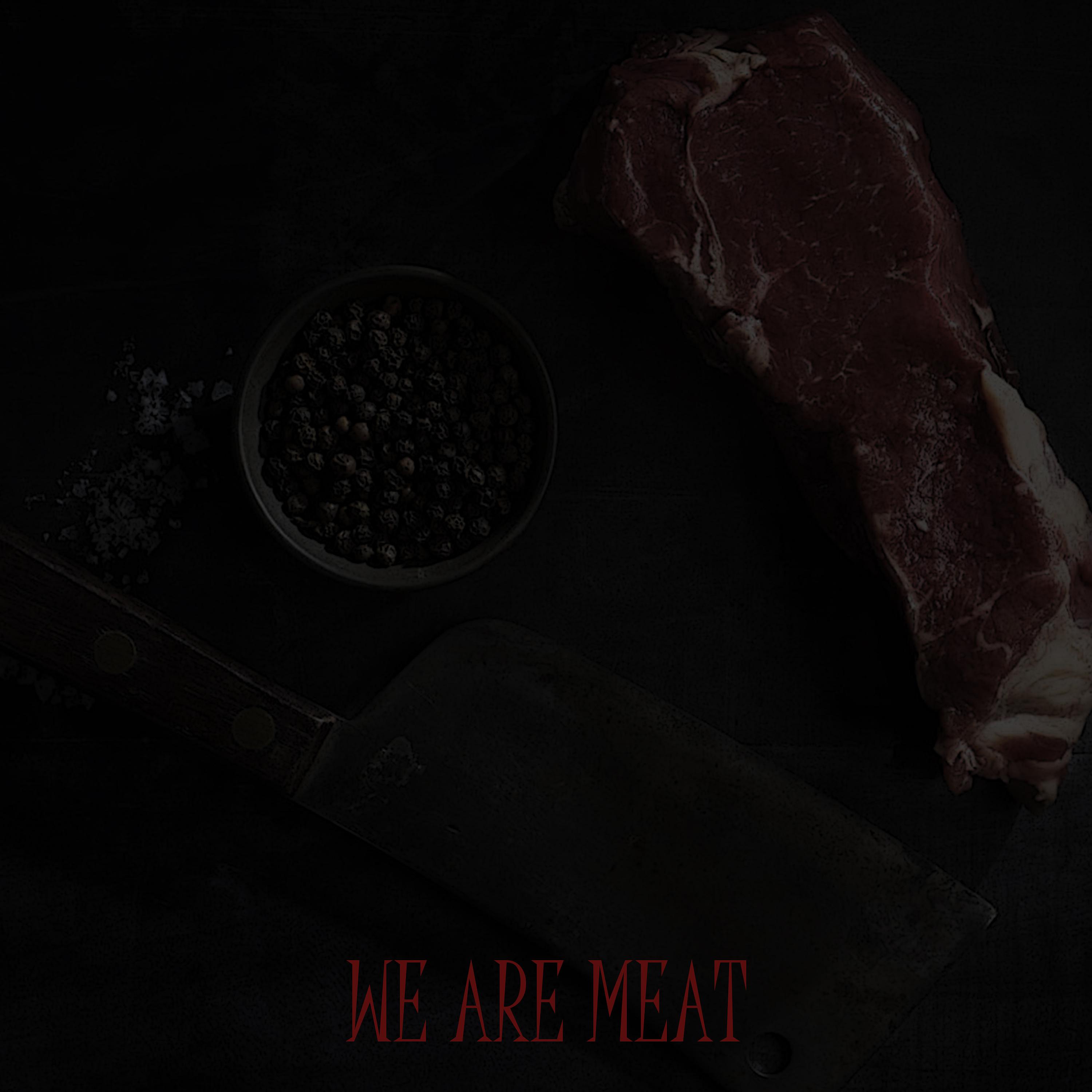 Постер альбома We are Meat