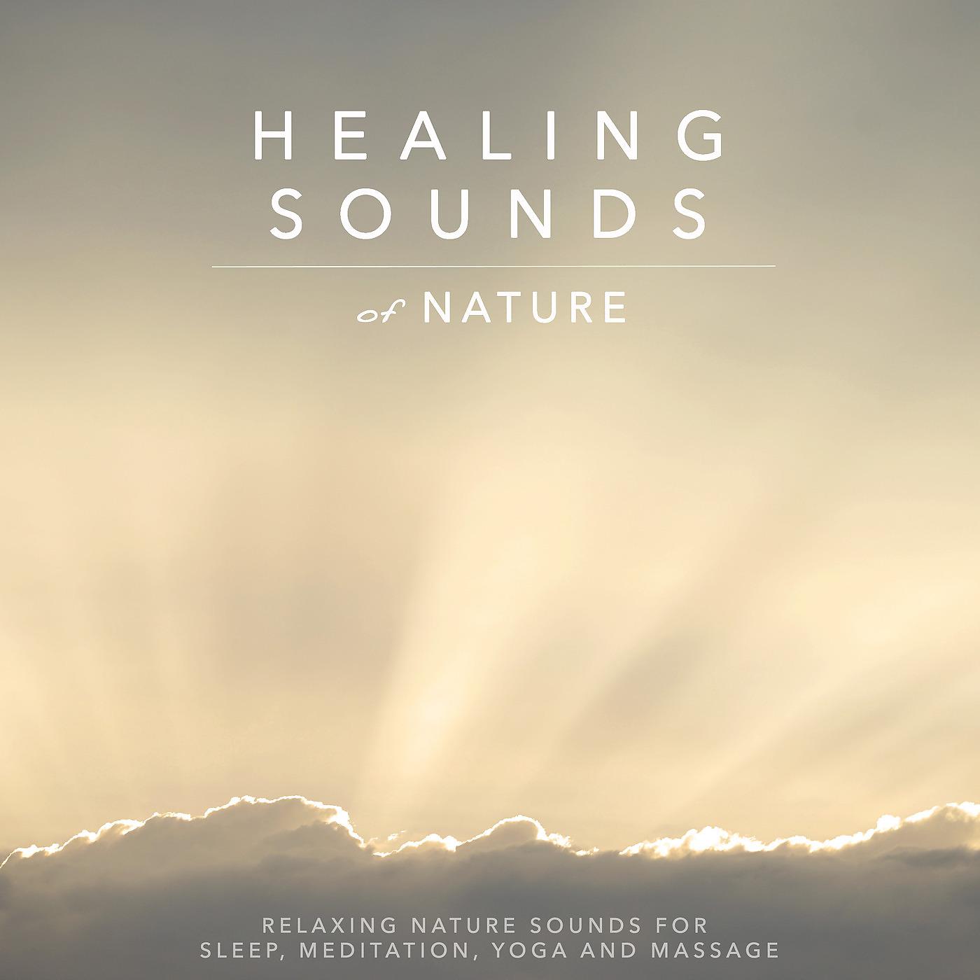Постер альбома Healing Sounds of Nature