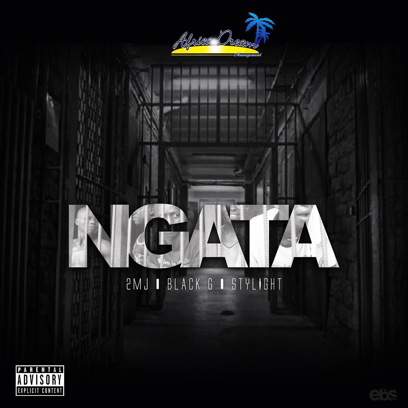 Постер альбома Ngata
