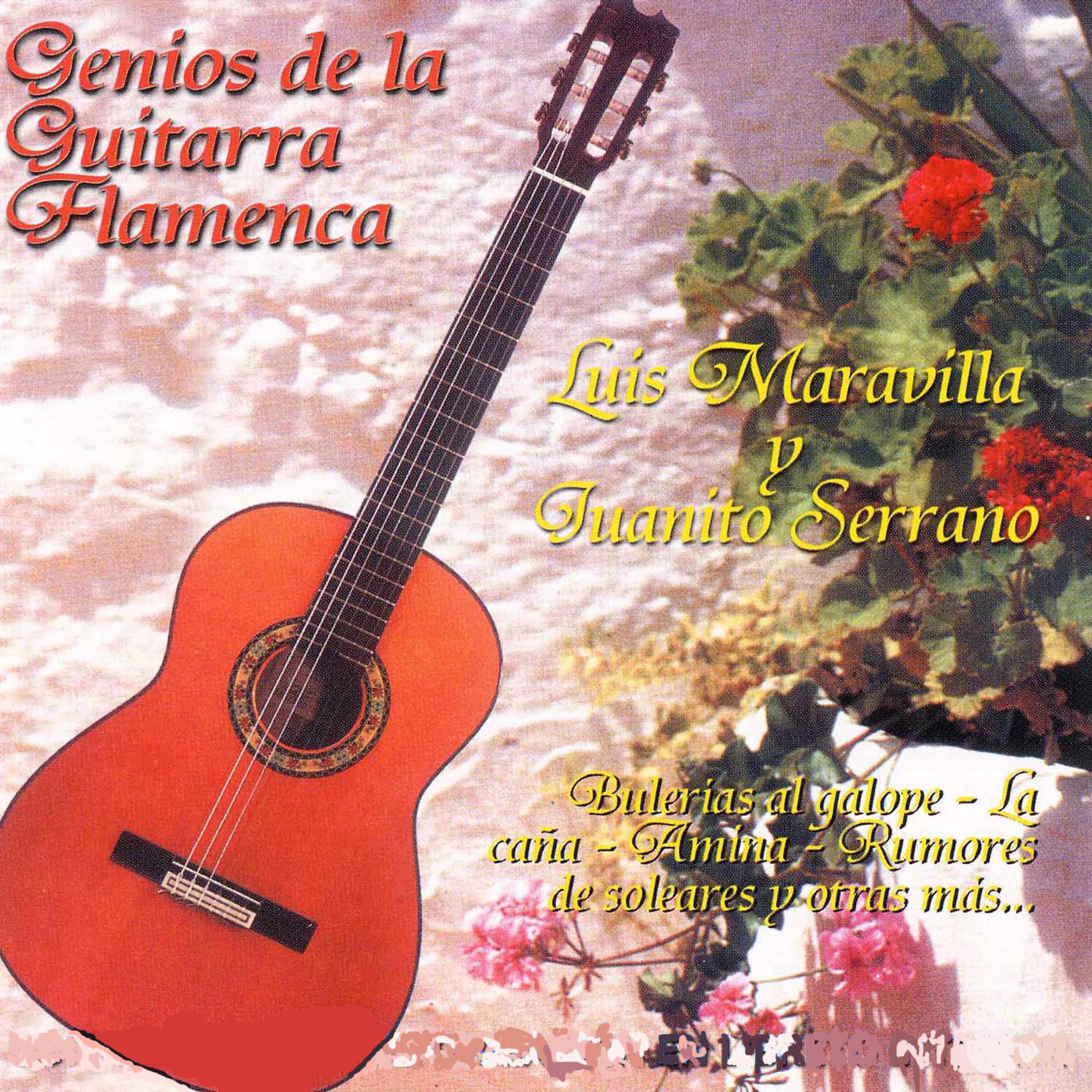 Постер альбома Genios de la Guitarra Flamenca