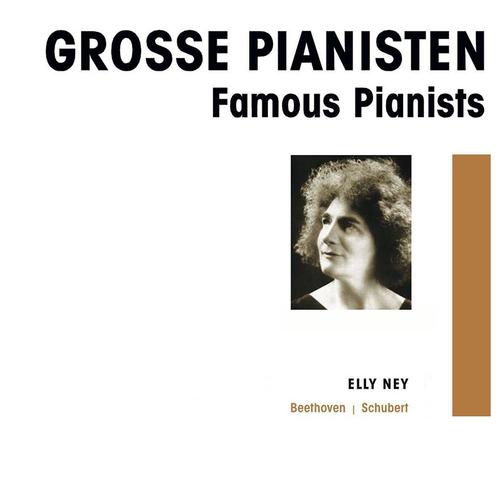 Постер альбома Grosse Pianisten - Elly Ney