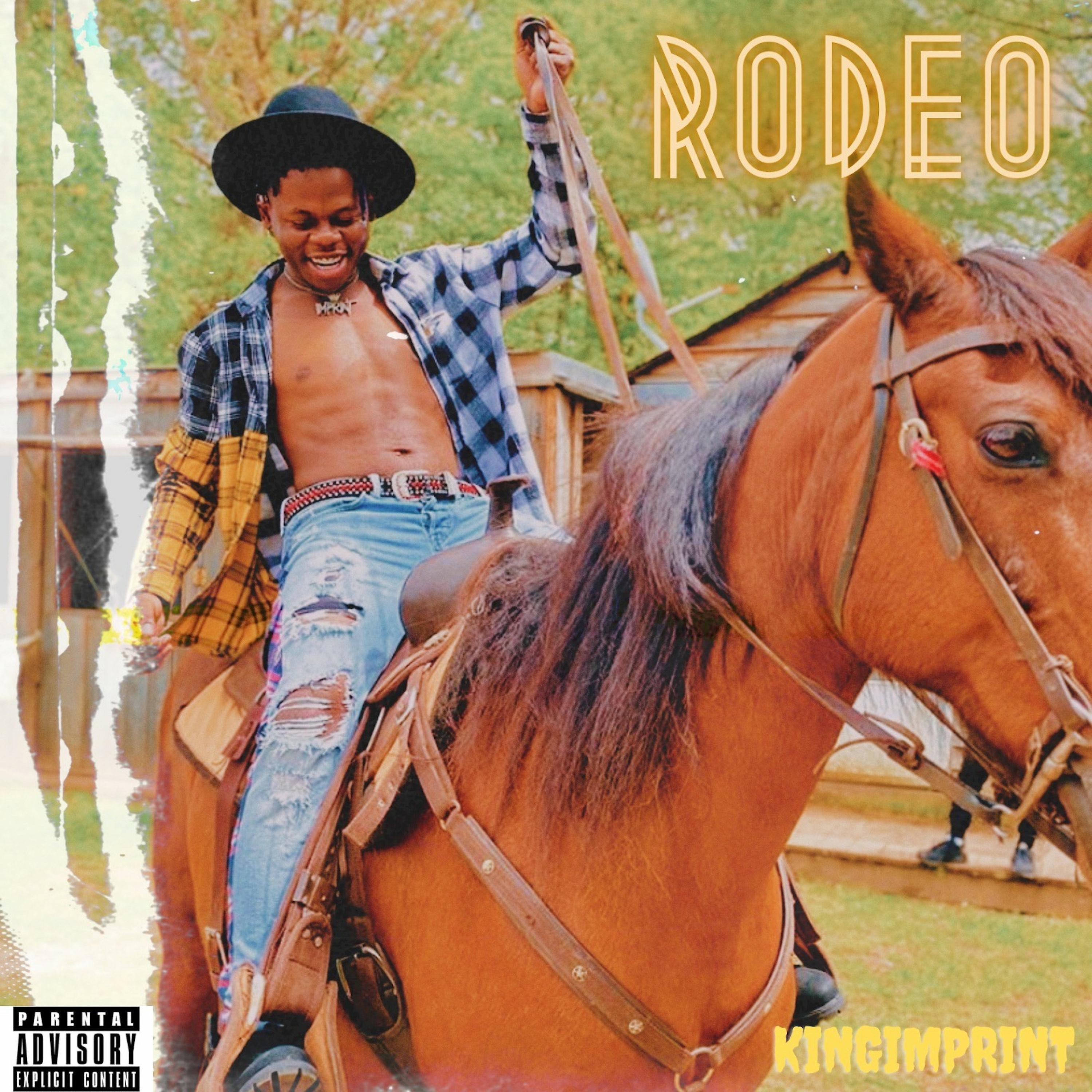 Постер альбома Rodeo