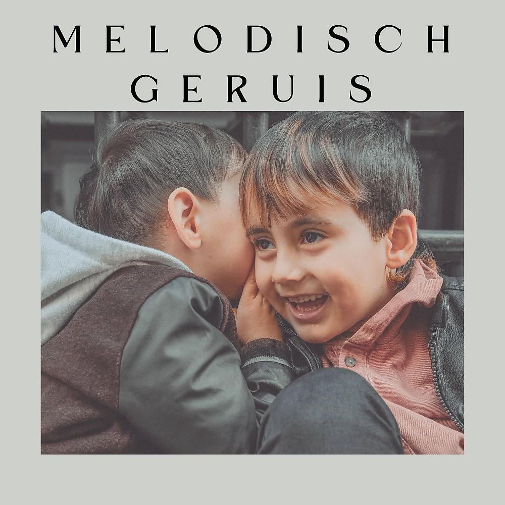 Постер альбома Melodisch Geruis