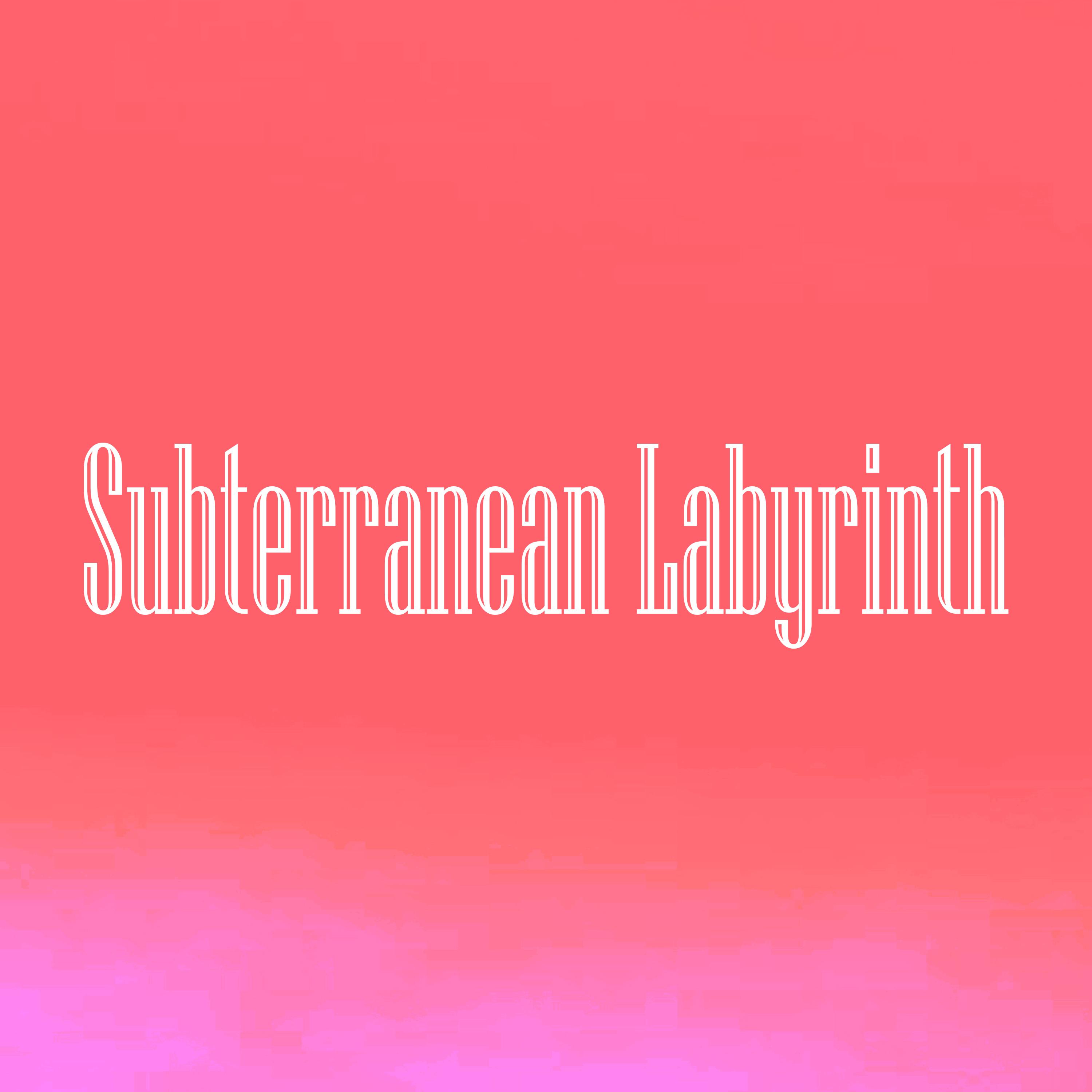 Постер альбома Subterranean Labyrinth