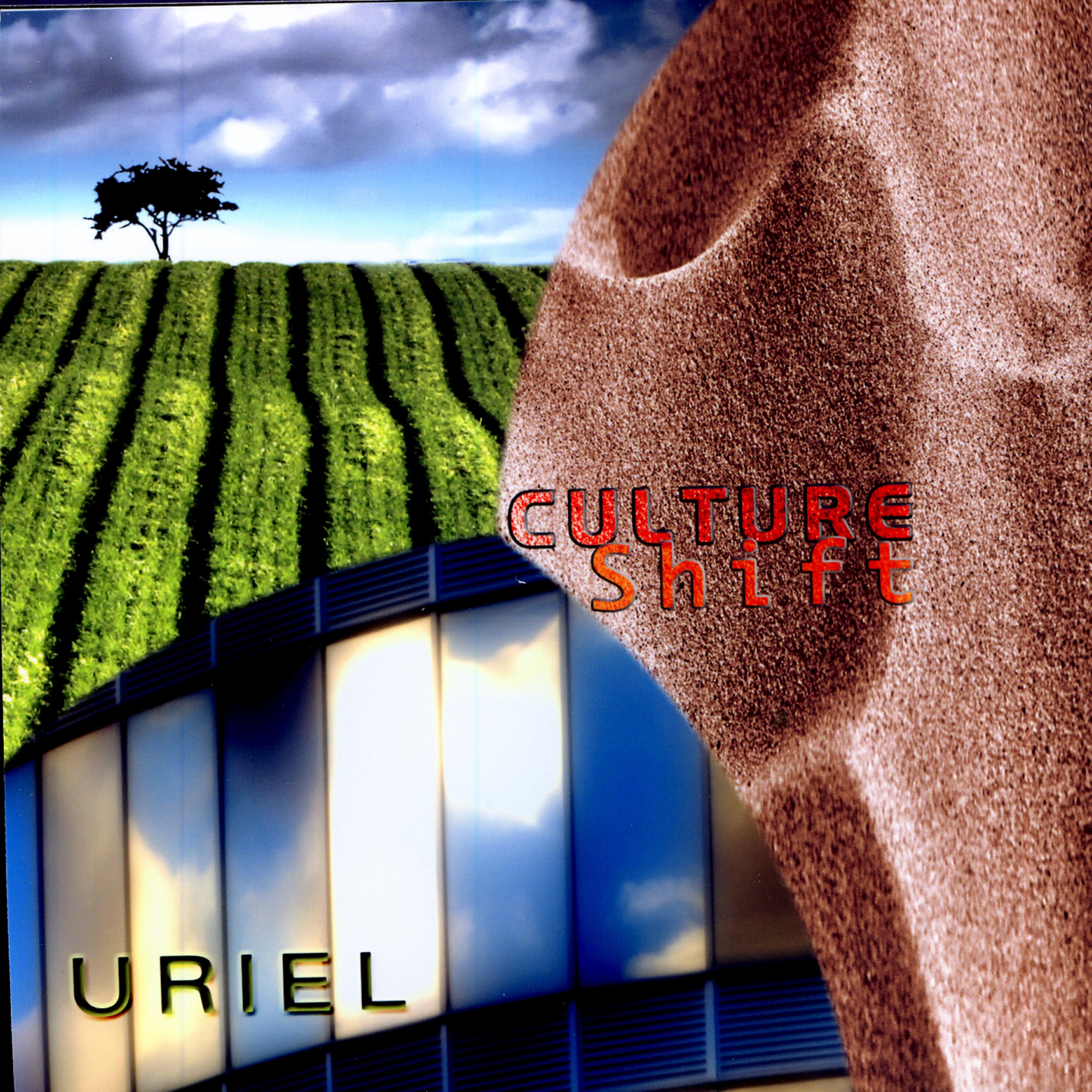 Постер альбома Culture Shift