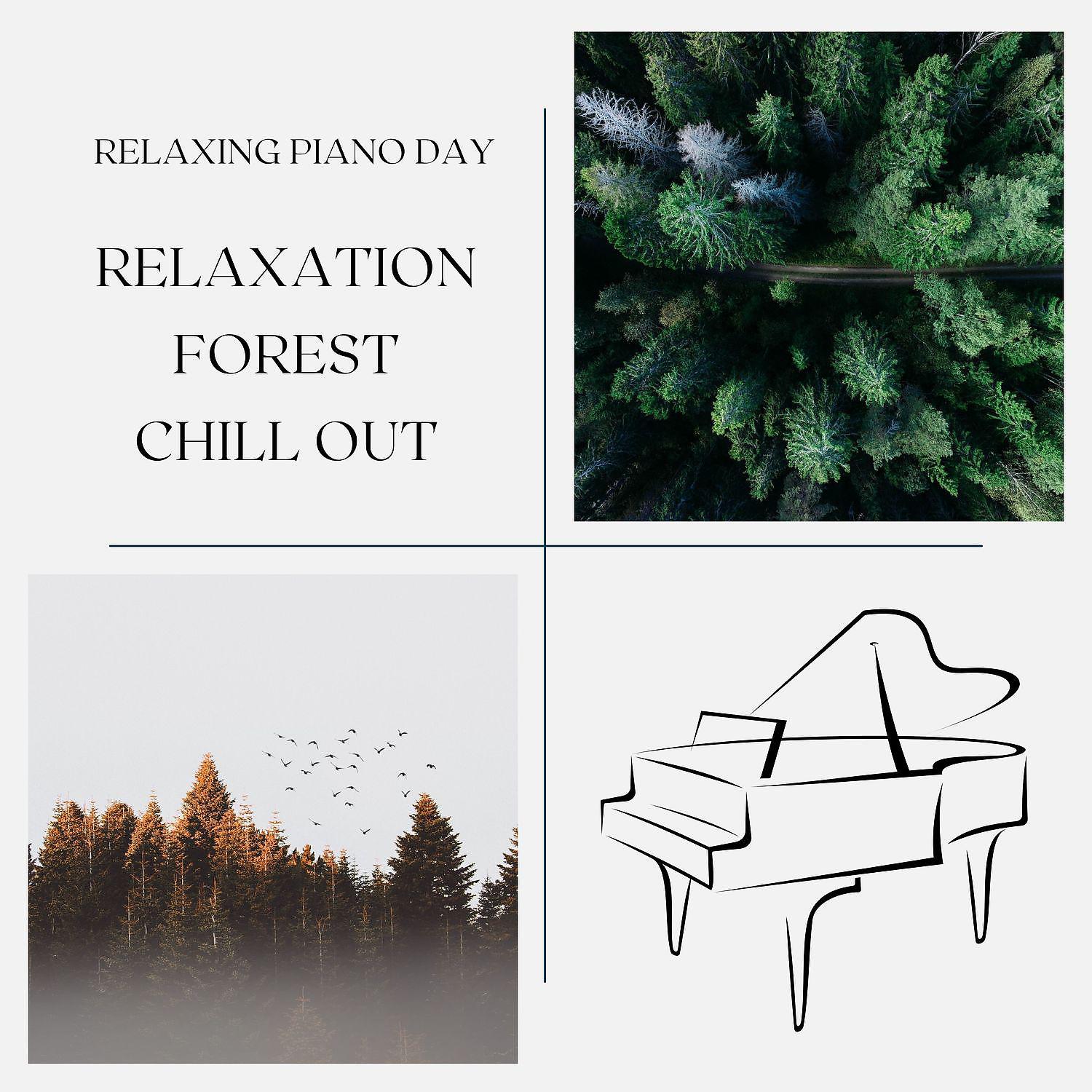 Постер альбома Relaxation Forest Chill Out