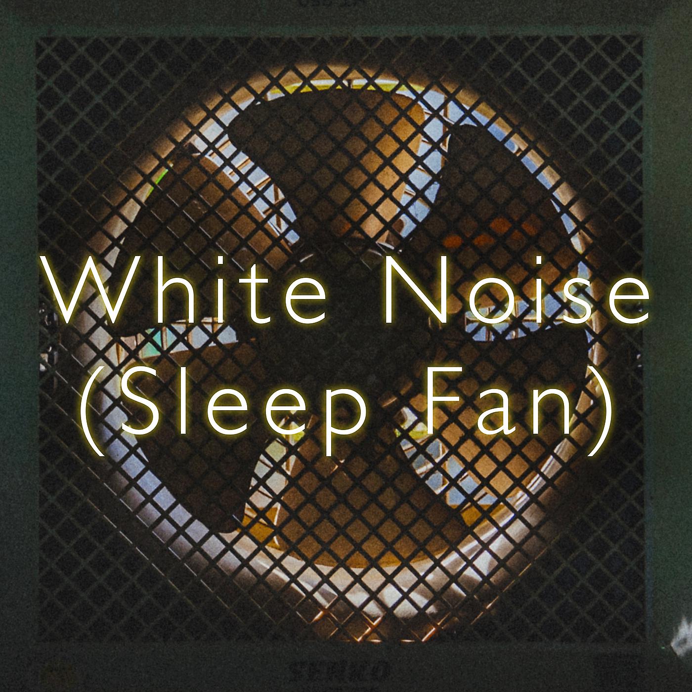 Постер альбома White Noise Sleep Fan