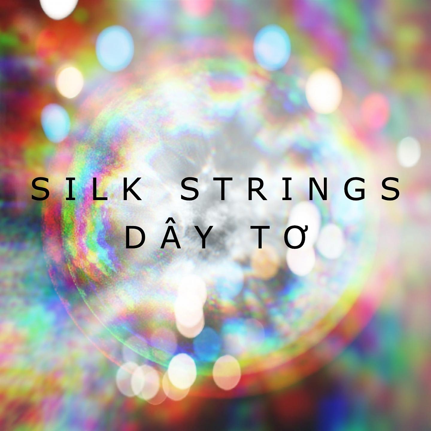 Постер альбома Silk Strings
