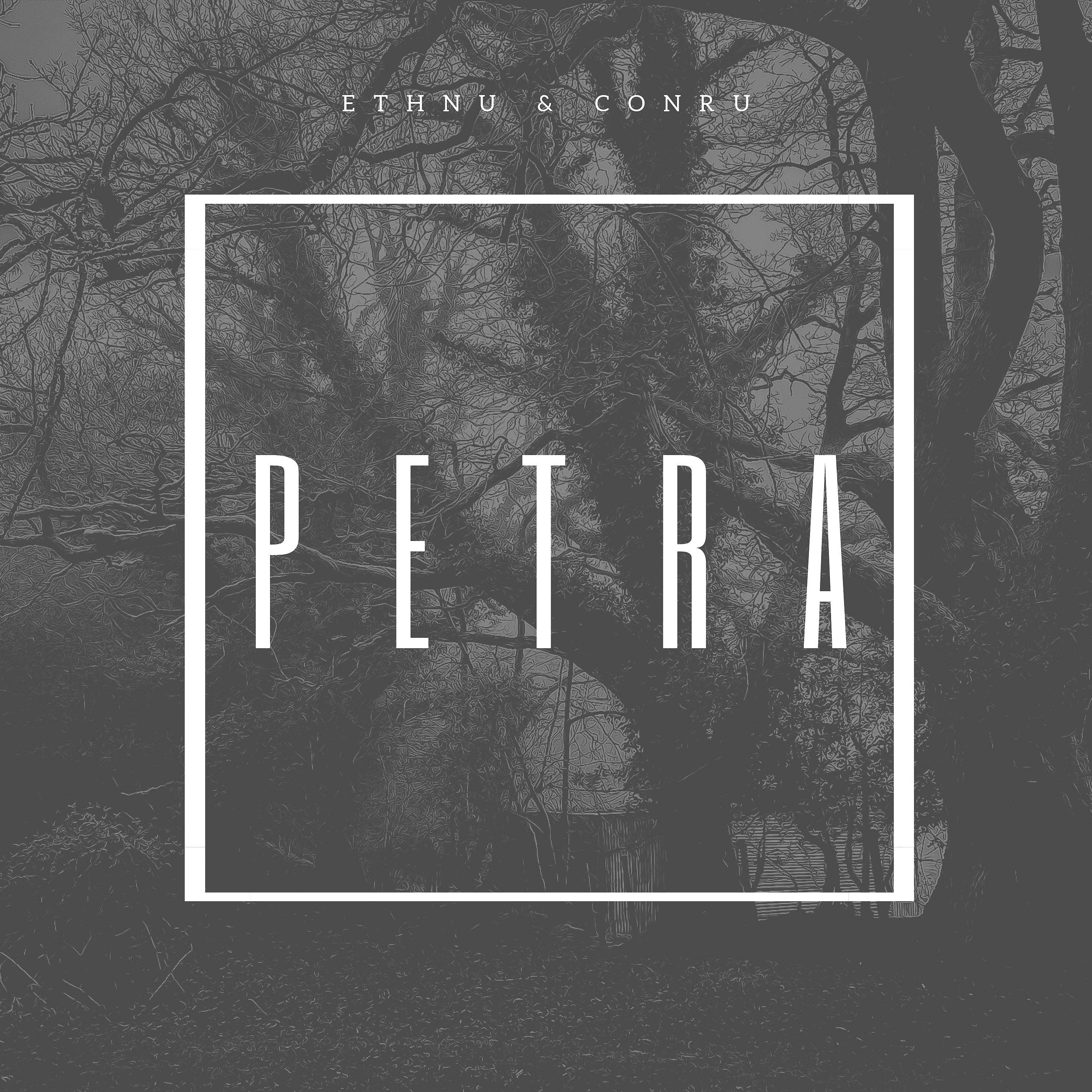 Постер альбома Petra