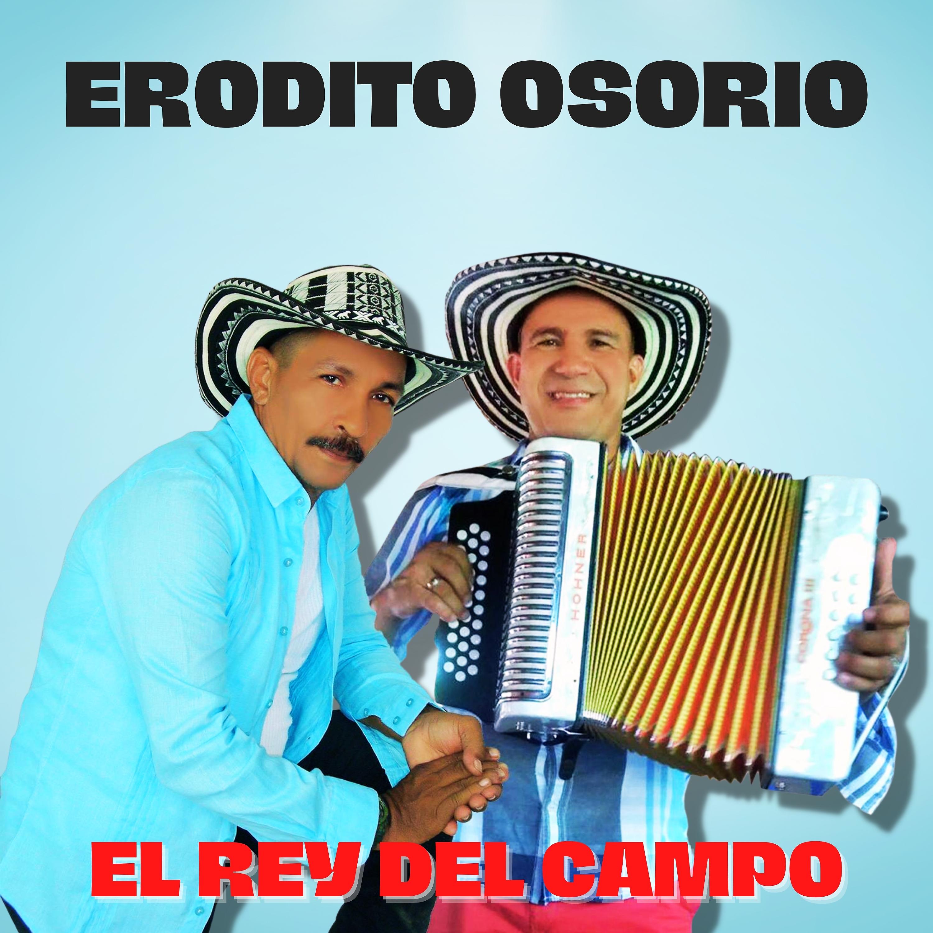 Постер альбома El Rey del Campo