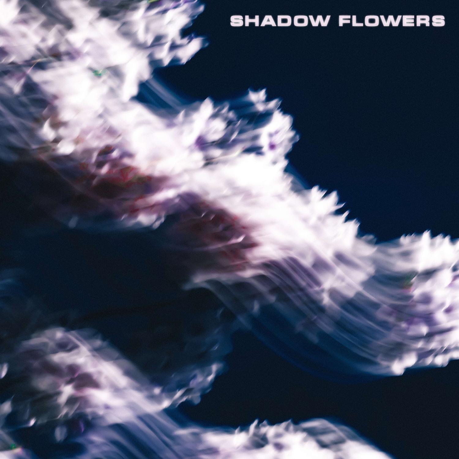 Постер альбома Shadow Flowers