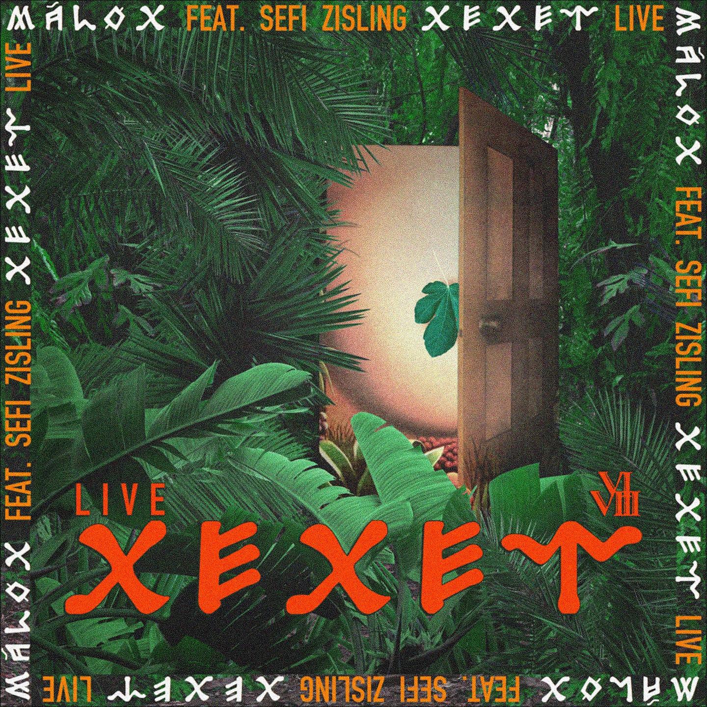 Постер альбома Xexet