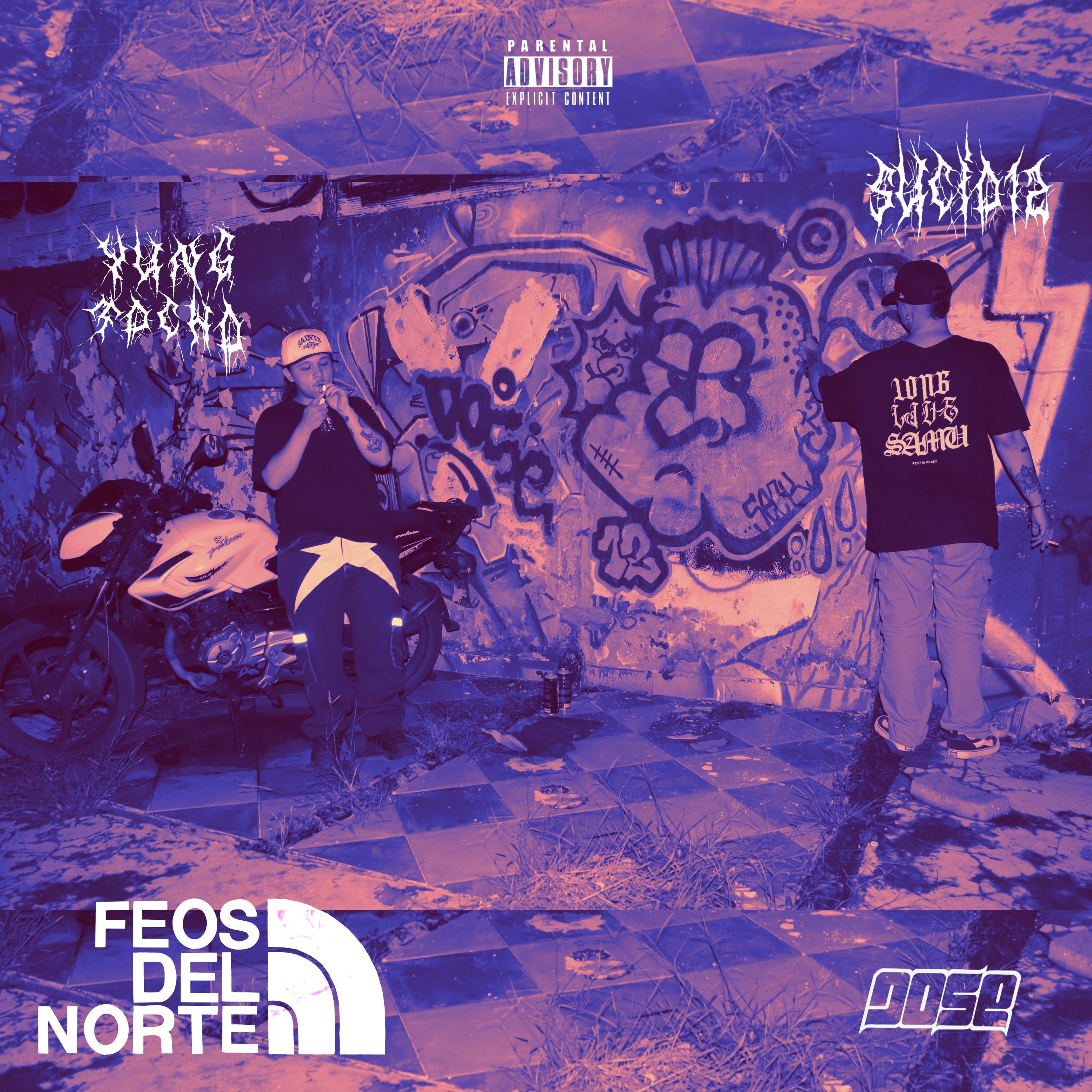 Постер альбома Feos del Norte