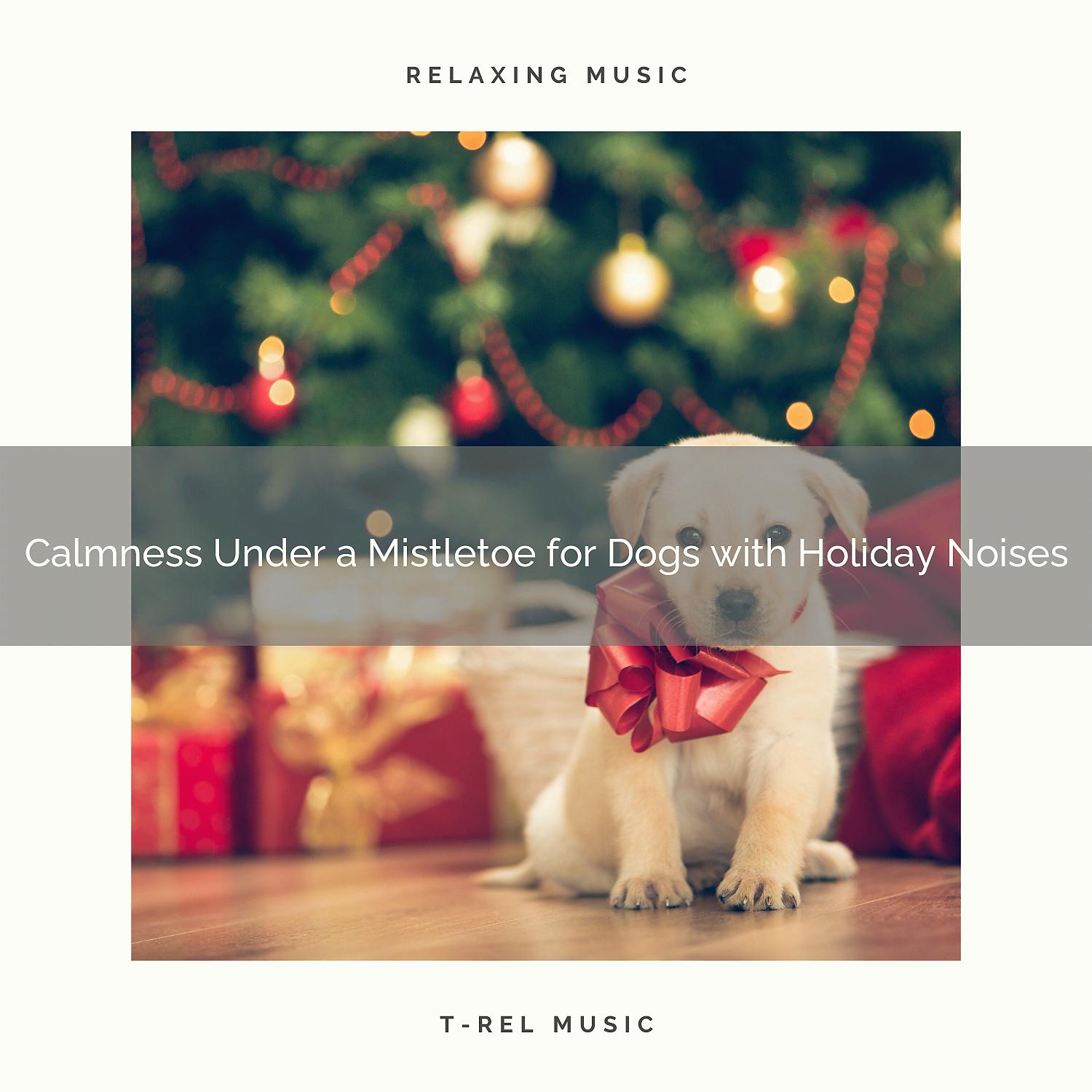 Постер альбома Calmness Under a Mistletoe for Dogs with Holiday Noises