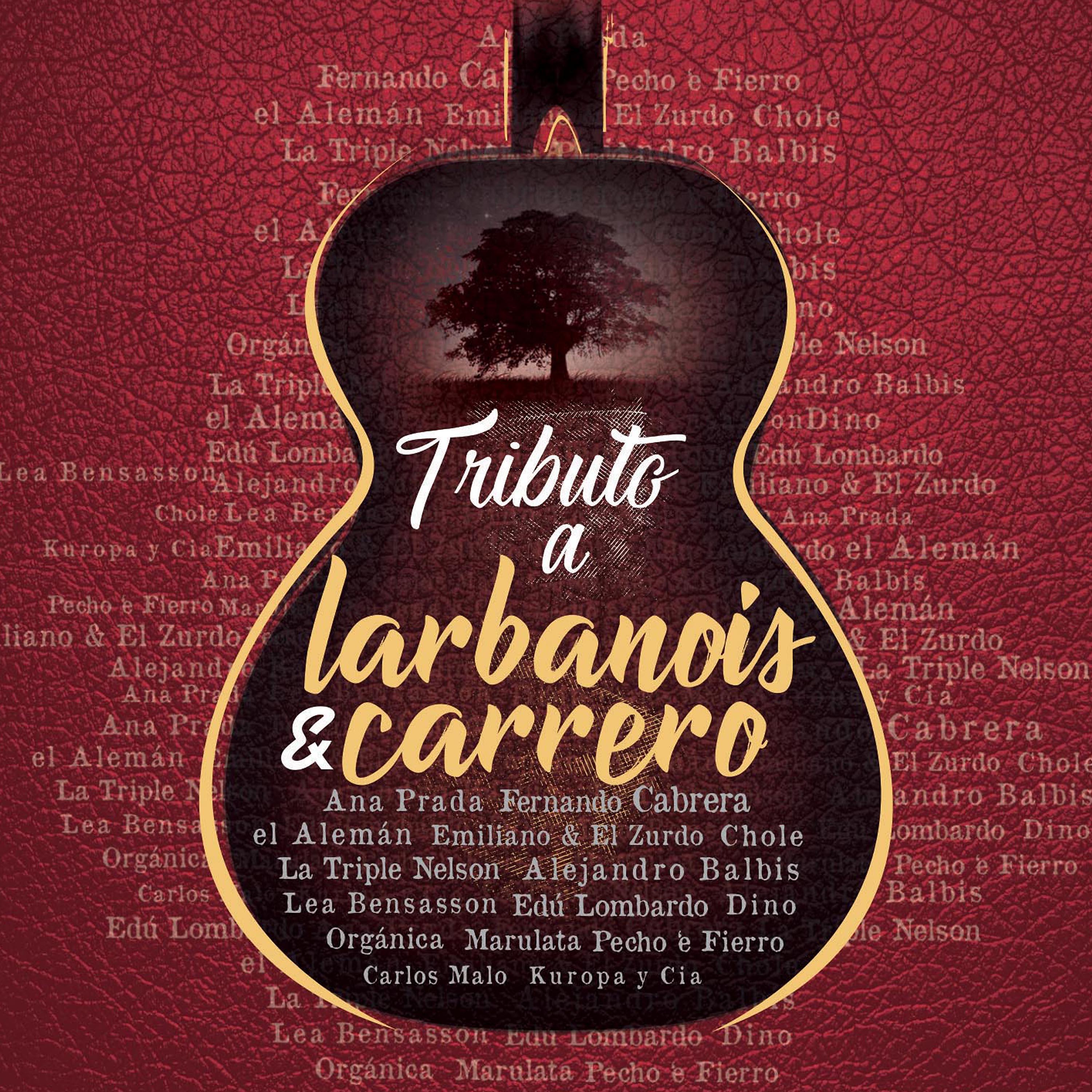 Постер альбома Tributo a Larbanois & Carrero