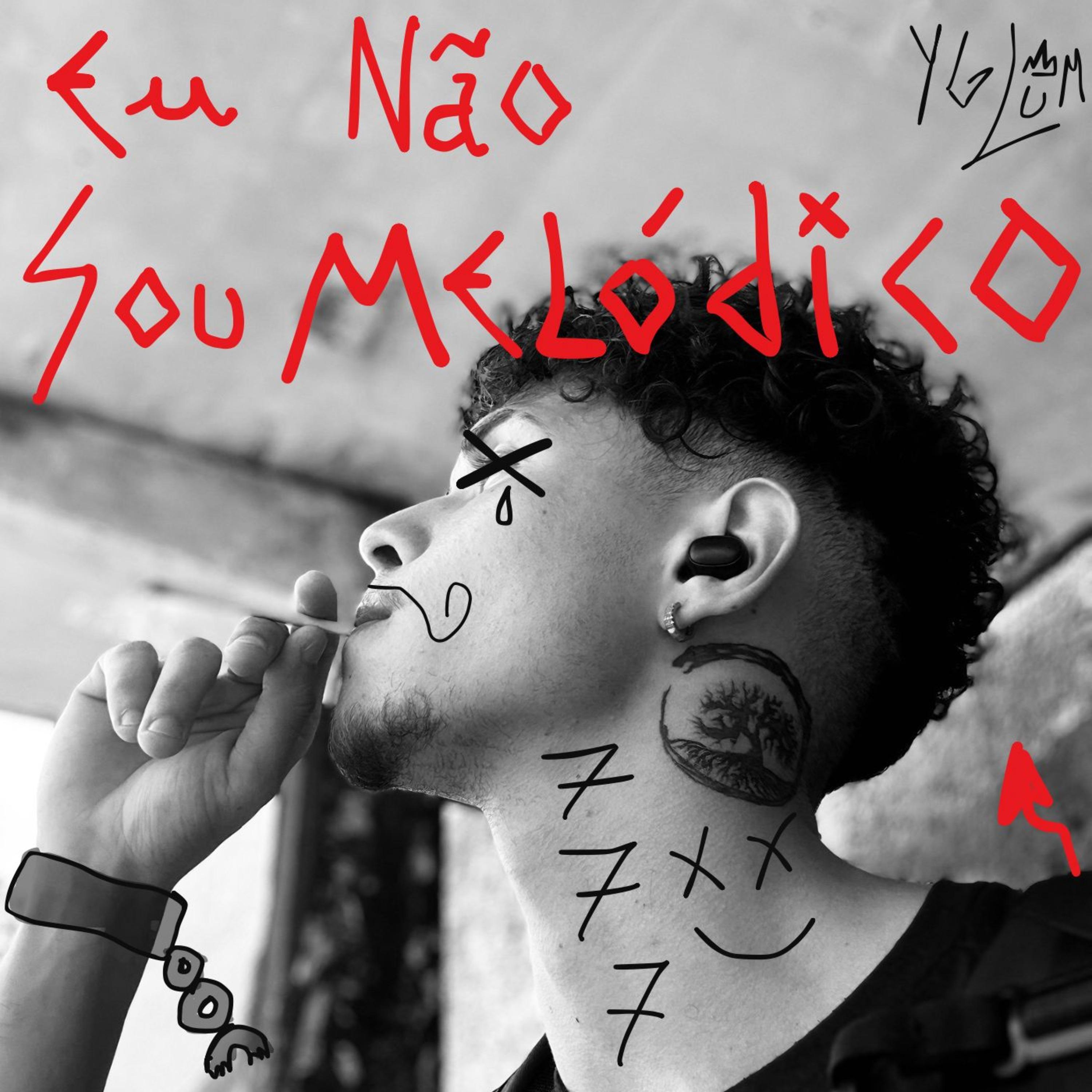 Постер альбома Eu Não Sou Melódico