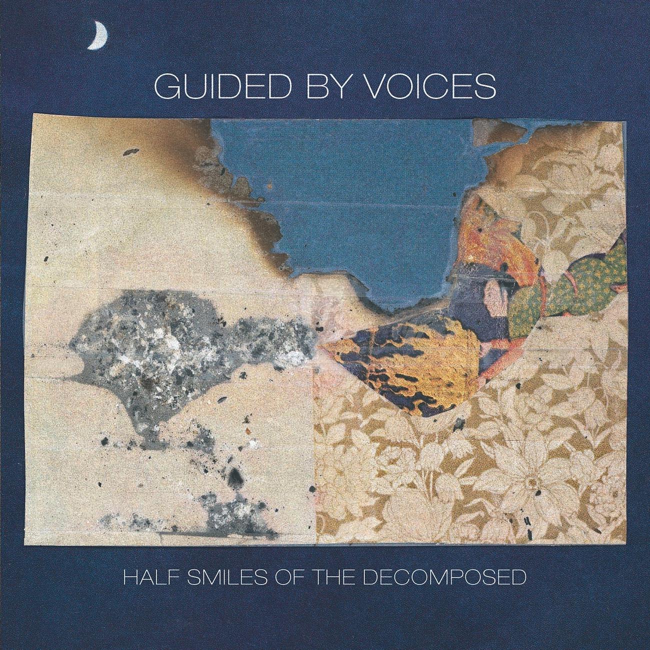 Постер альбома Half Smiles of the Decomposed