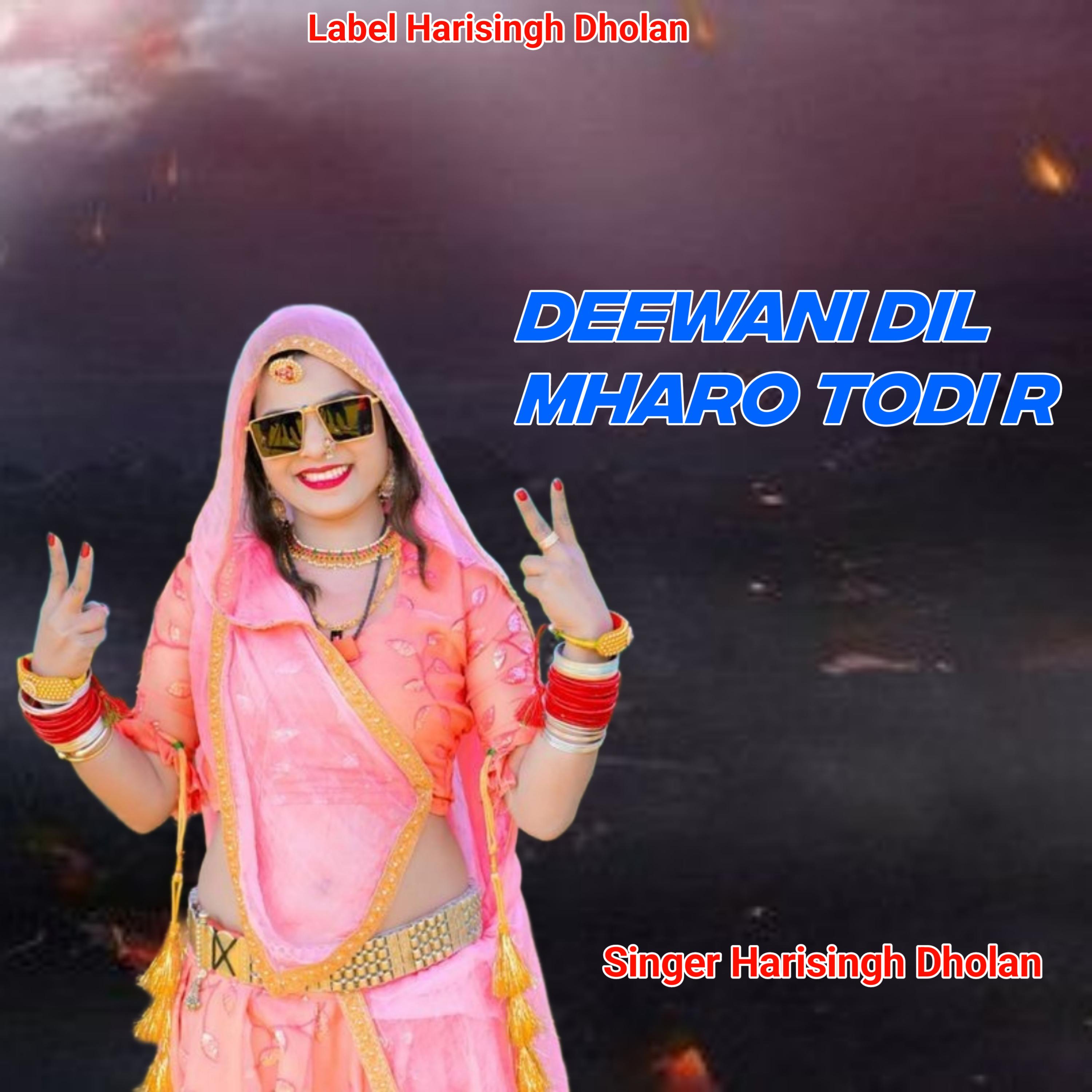 Постер альбома Deewani Dil Mharo Todi R