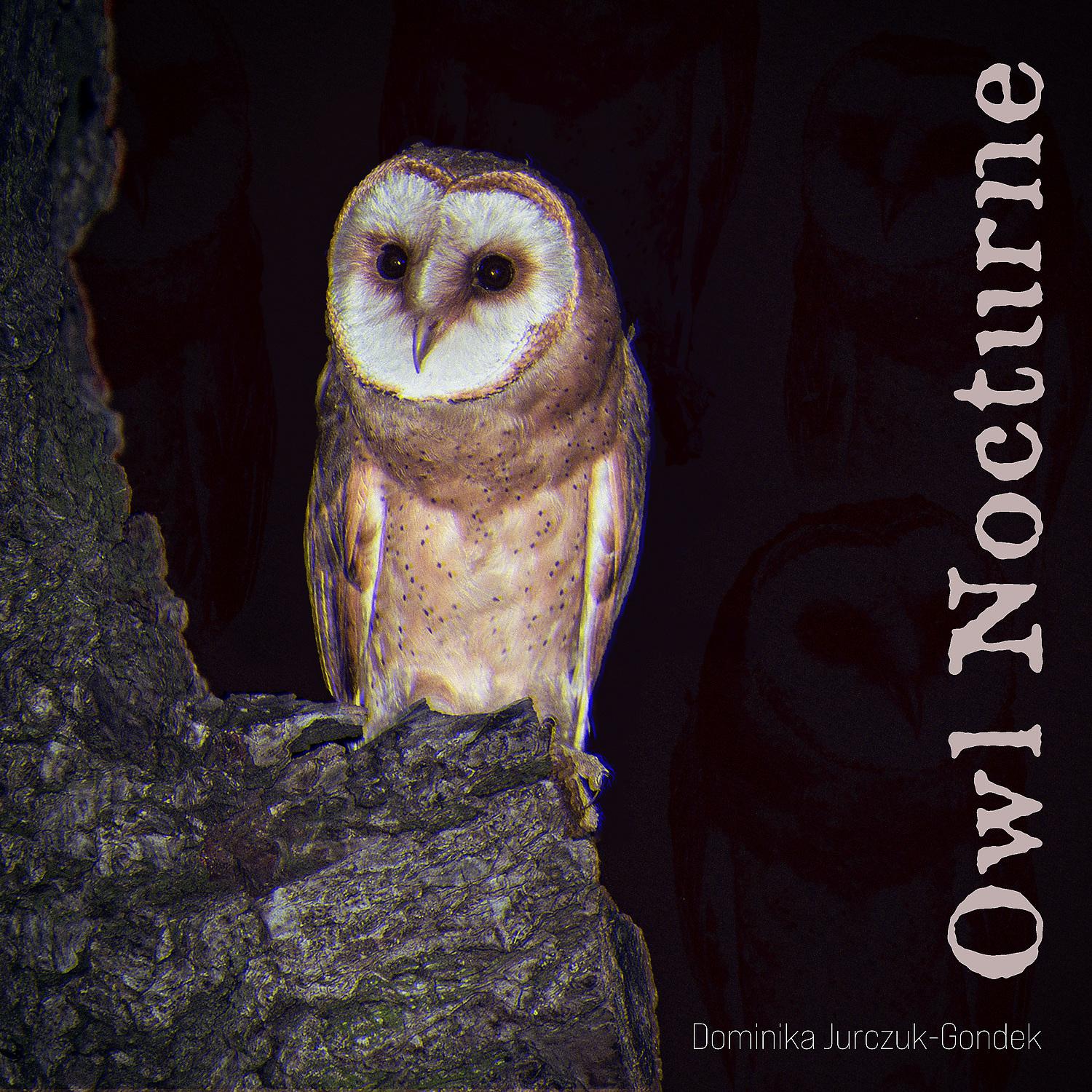 Постер альбома Owl Nocturne
