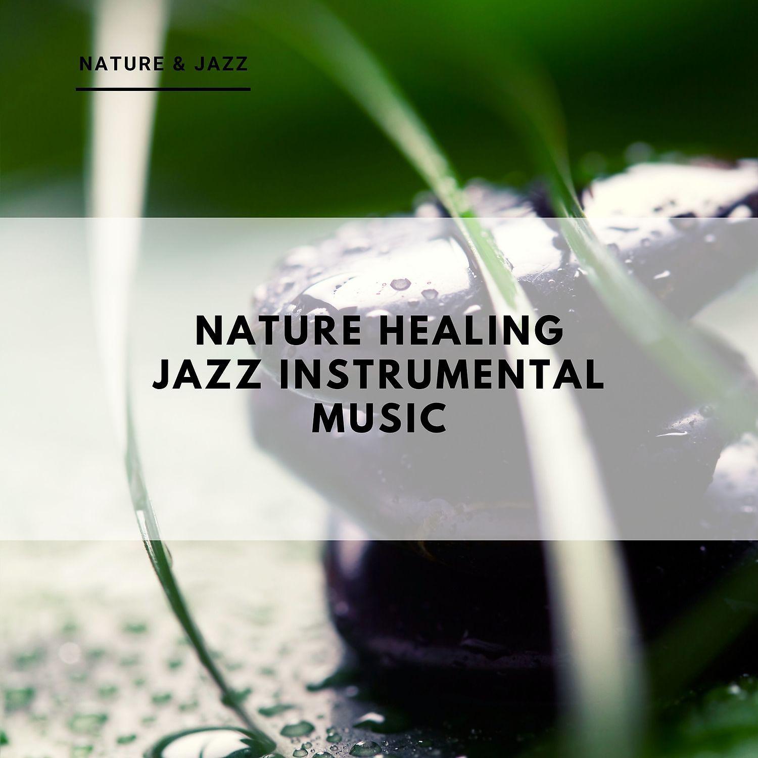 Постер альбома Nature Healing Jazz Instrumental Music