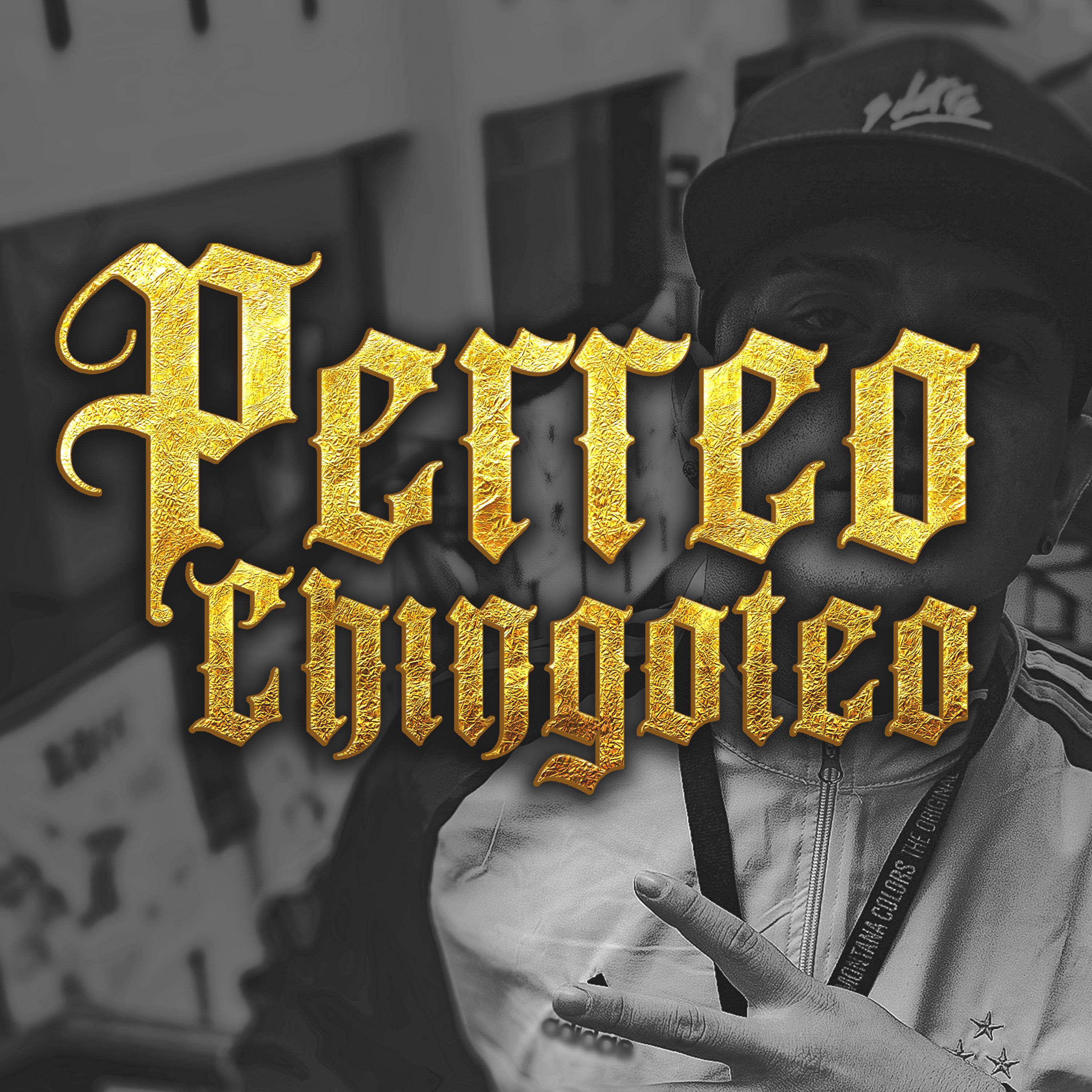 Постер альбома Perreo Chingoteo