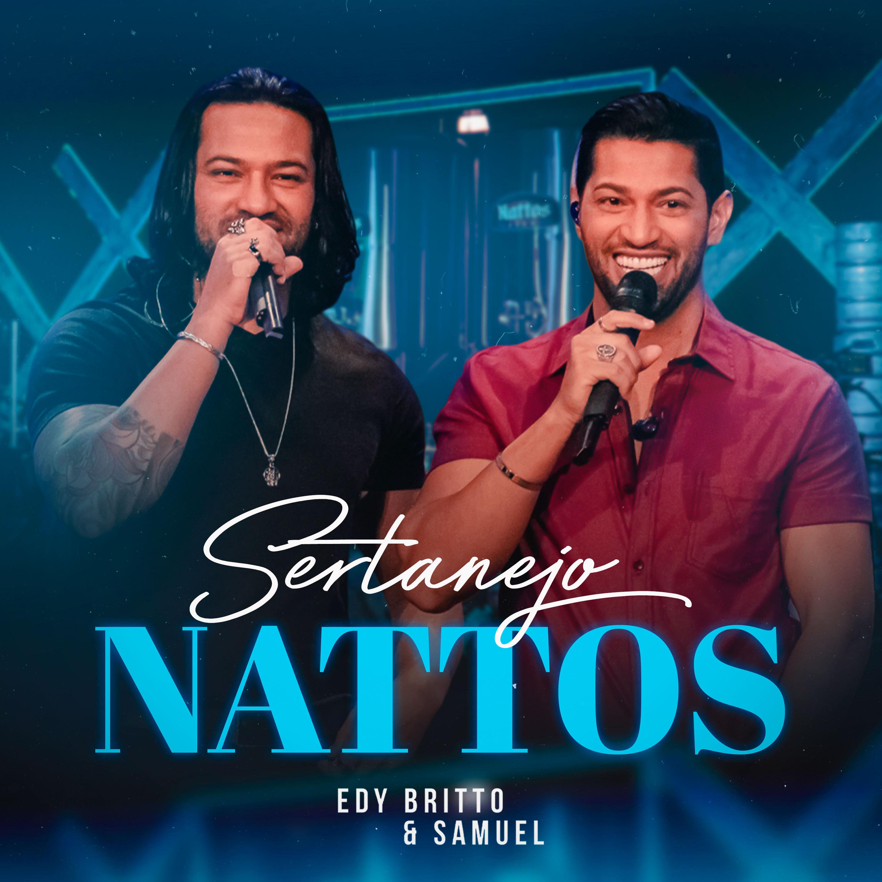 Постер альбома Sertanejo Nattos