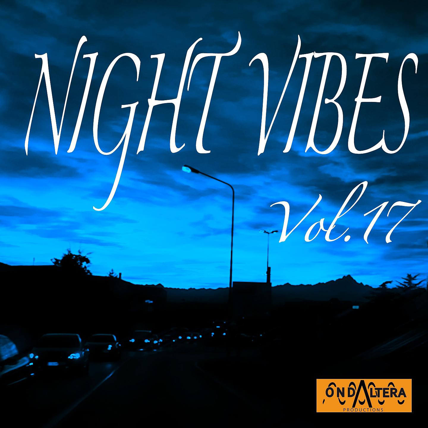 Постер альбома Night Vibes, Vol. 17