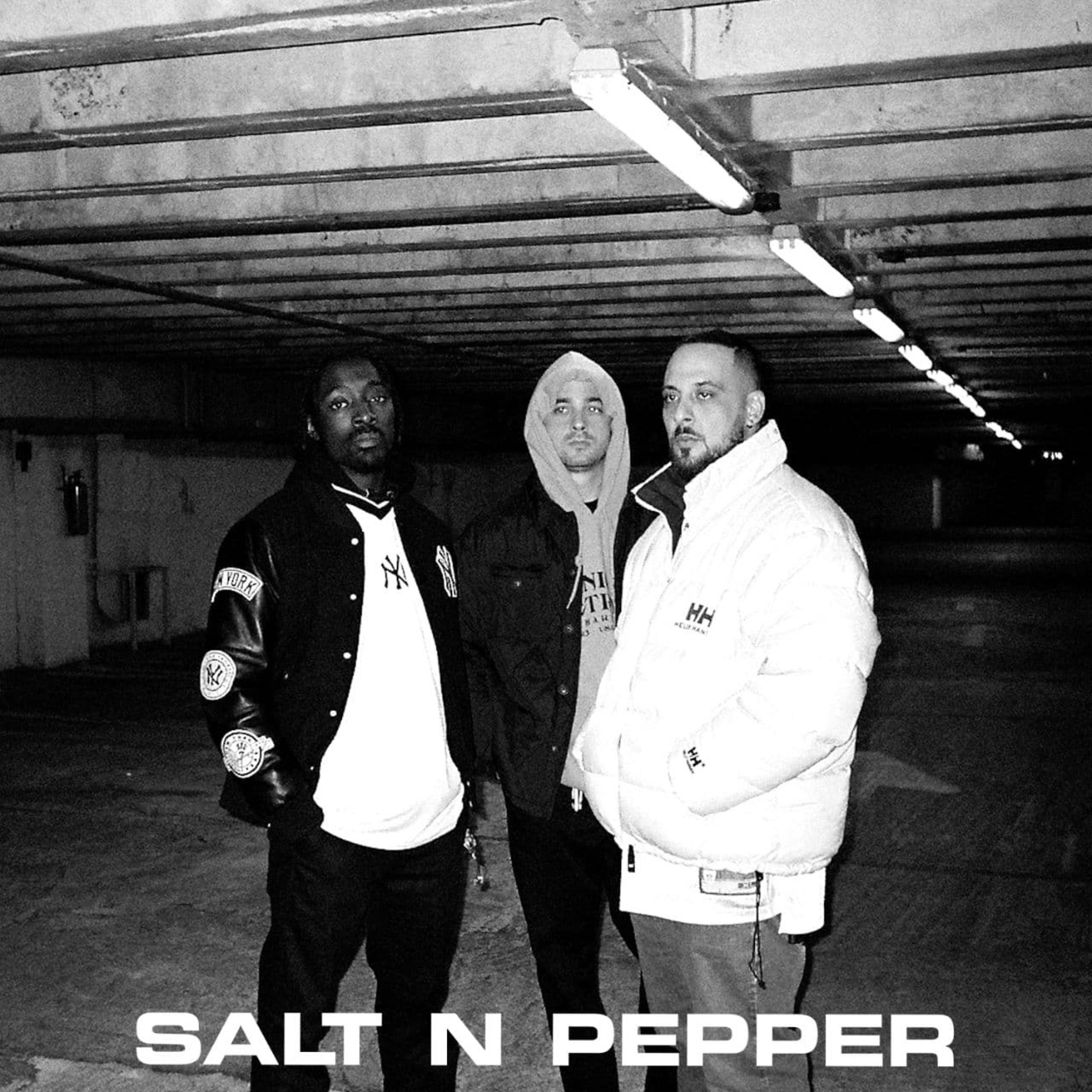 Постер альбома Salt N Pepper