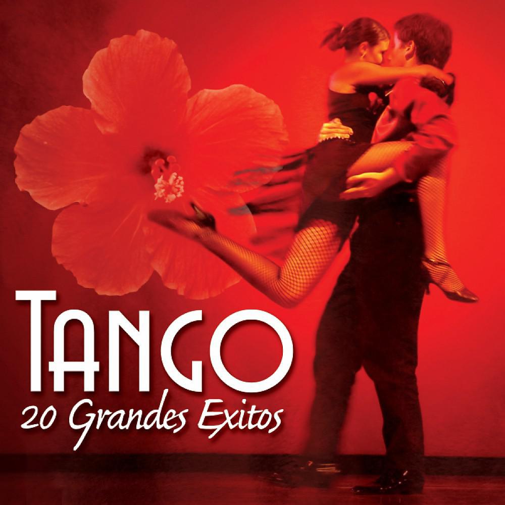 Постер альбома Tango - 20 Grandes Exitos