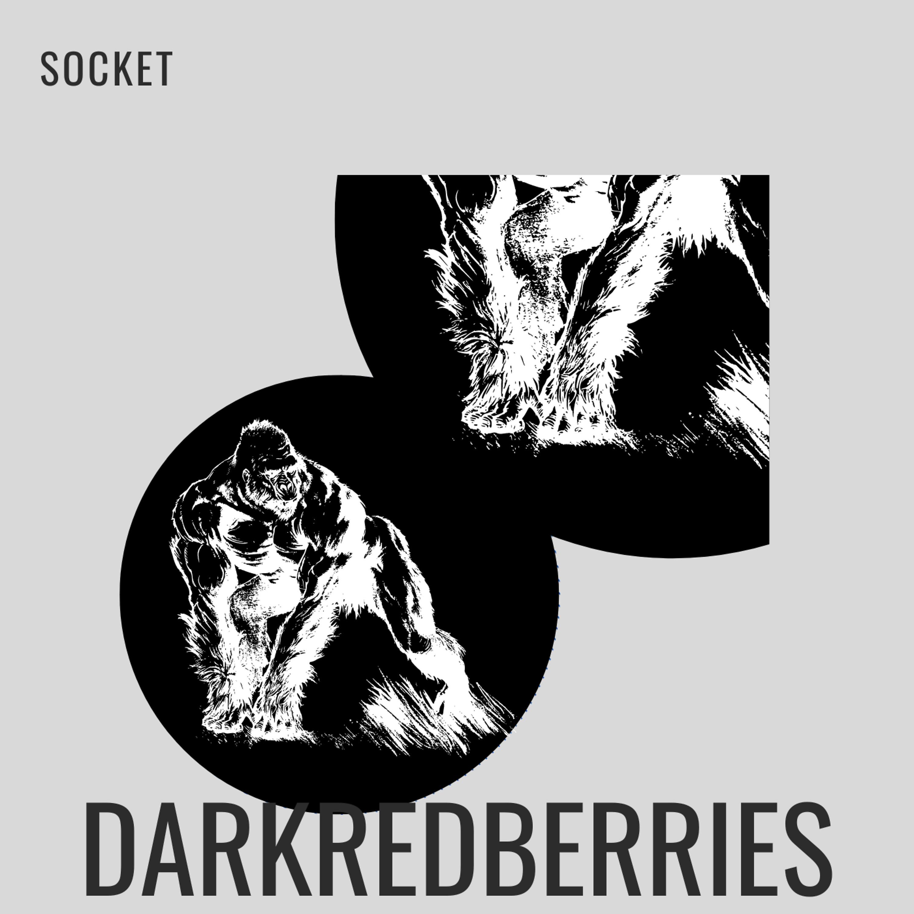 Постер альбома Socket