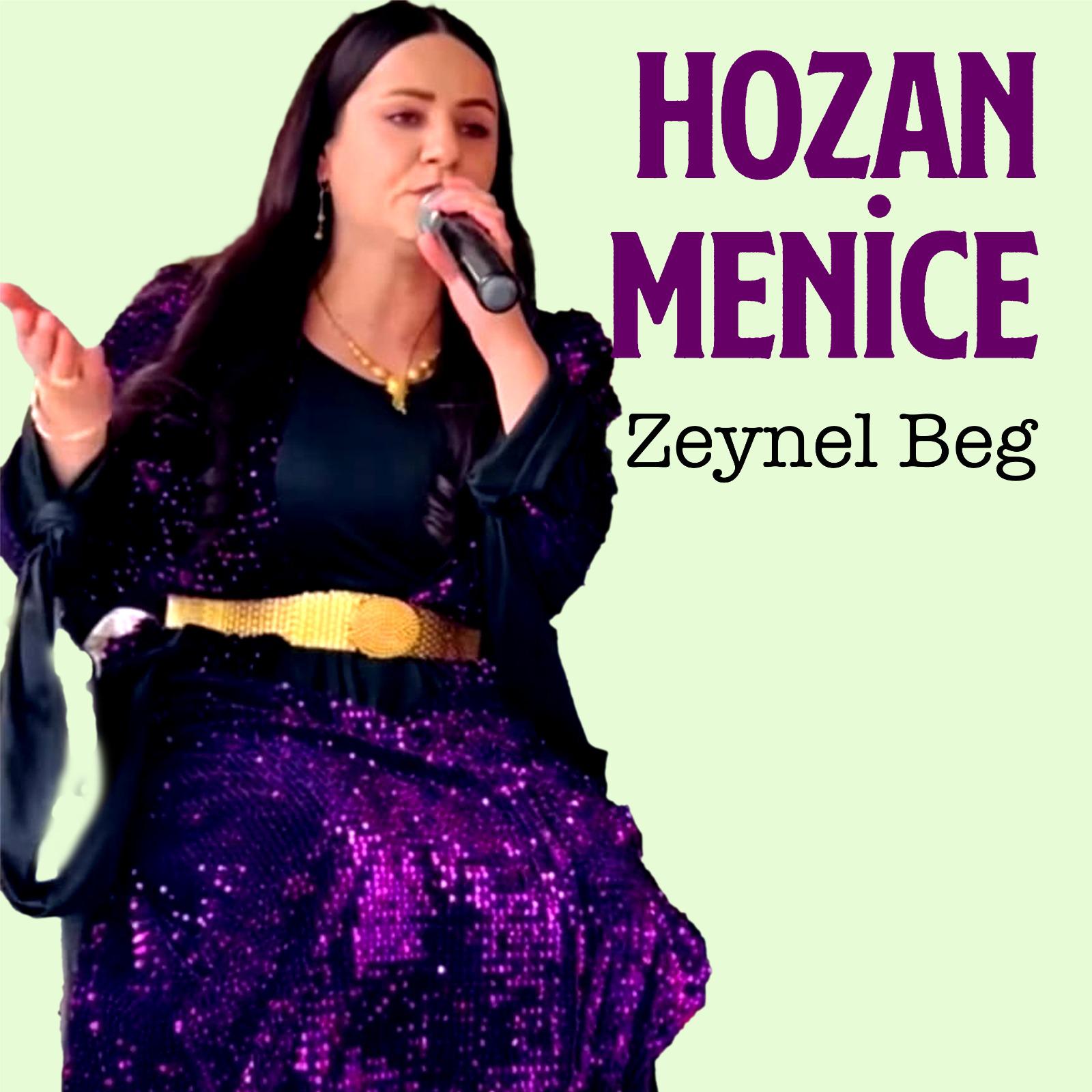 Постер альбома Zeynel Bey