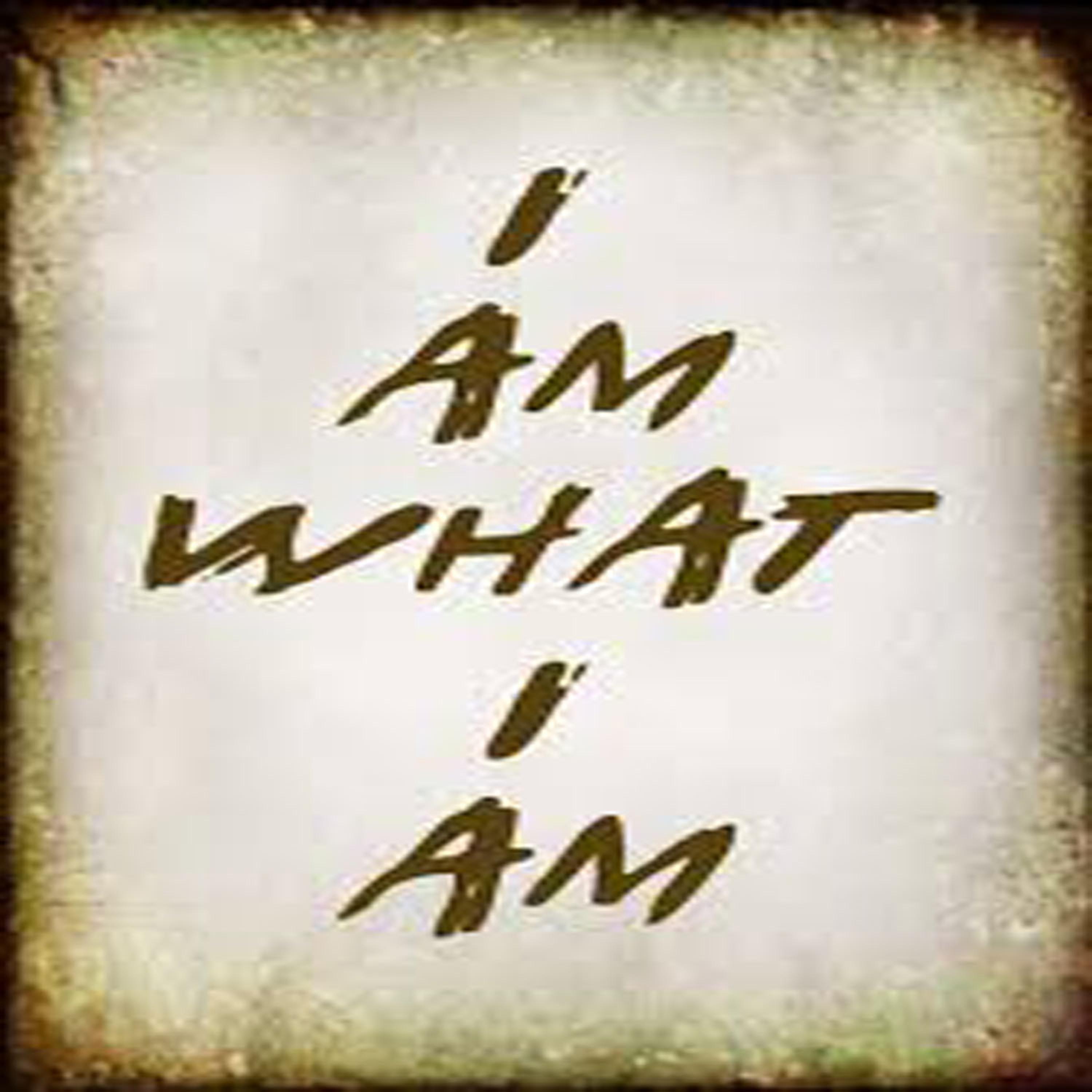 Постер альбома I Am What I Am (Originally Performed by Gloria Gaynor) [Karaoke Version]