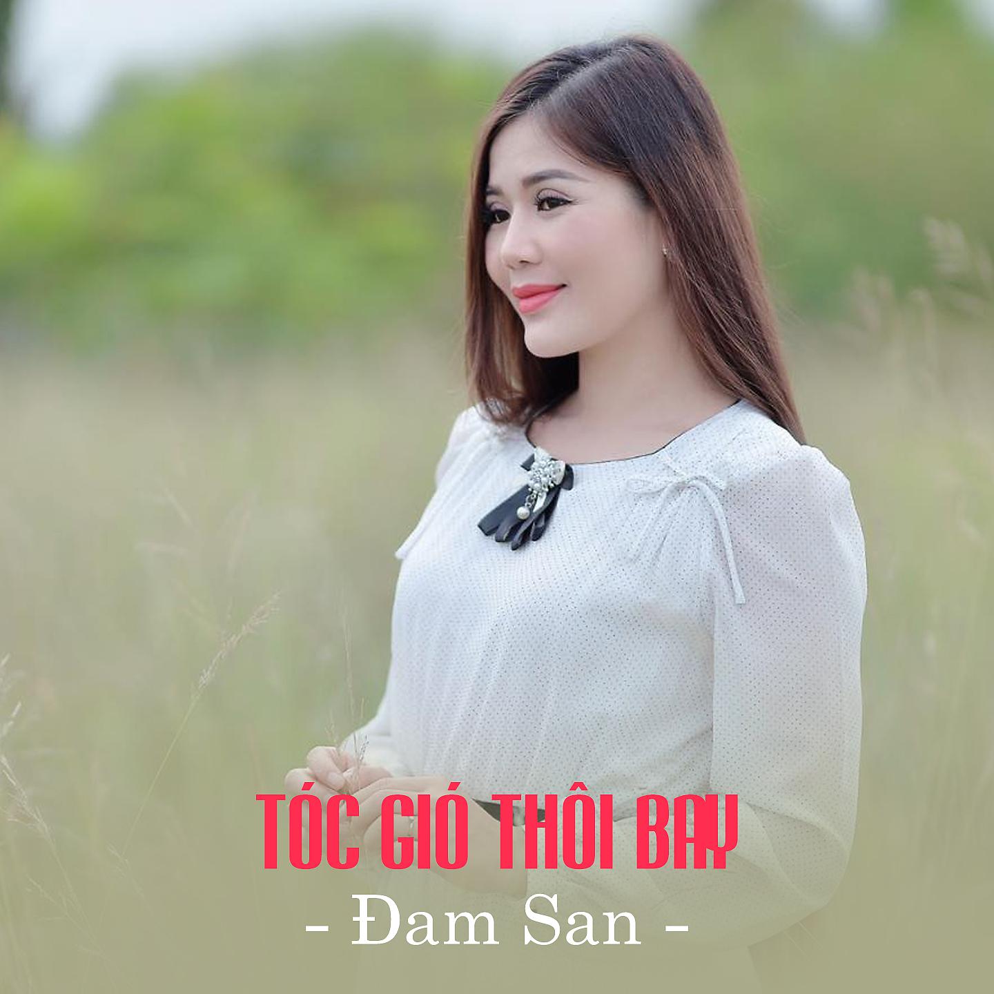 Постер альбома Tóc Gió Thôi Bay