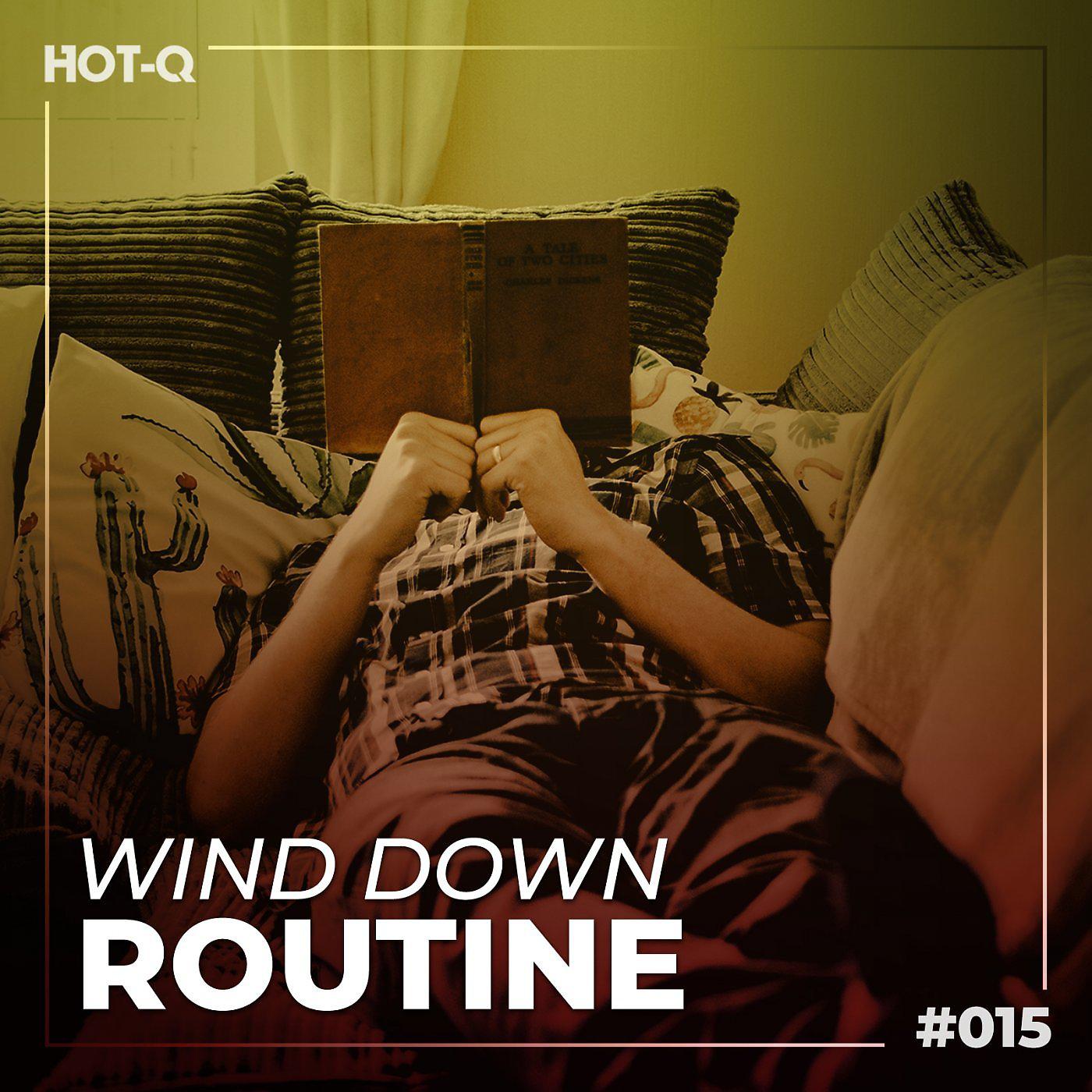 Постер альбома Wind Down Routine 015