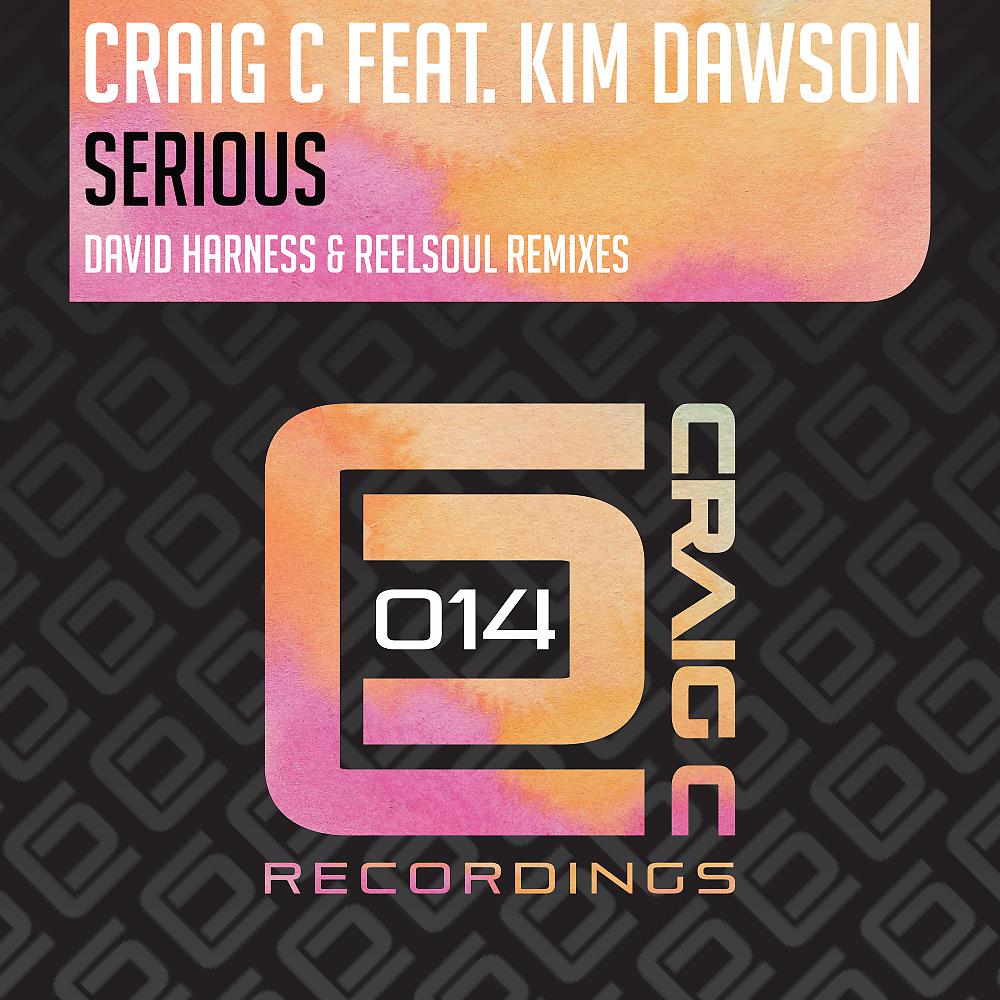 Постер альбома Serious (David Harness & Reelsoul Remixes)