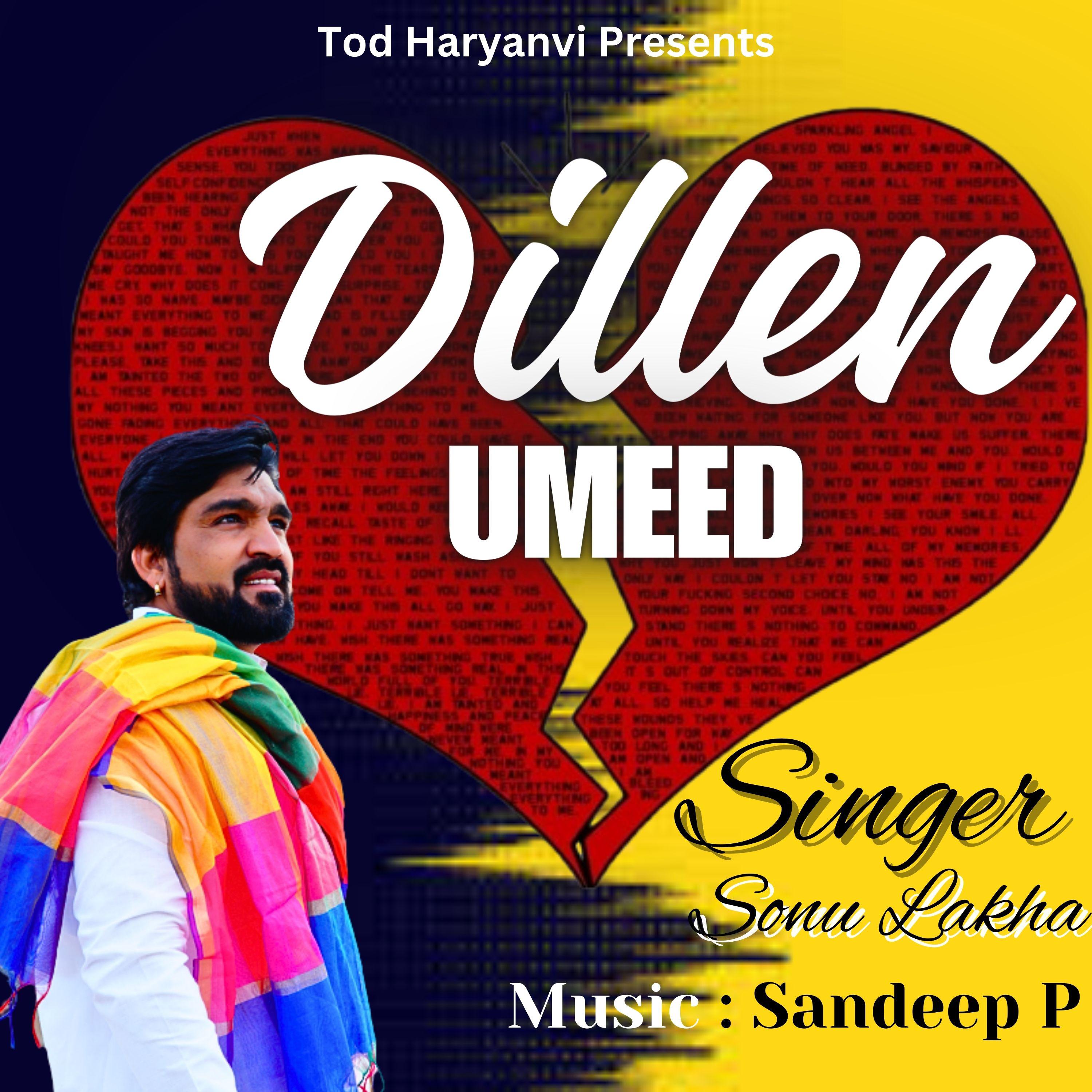 Постер альбома Dillen Umeed