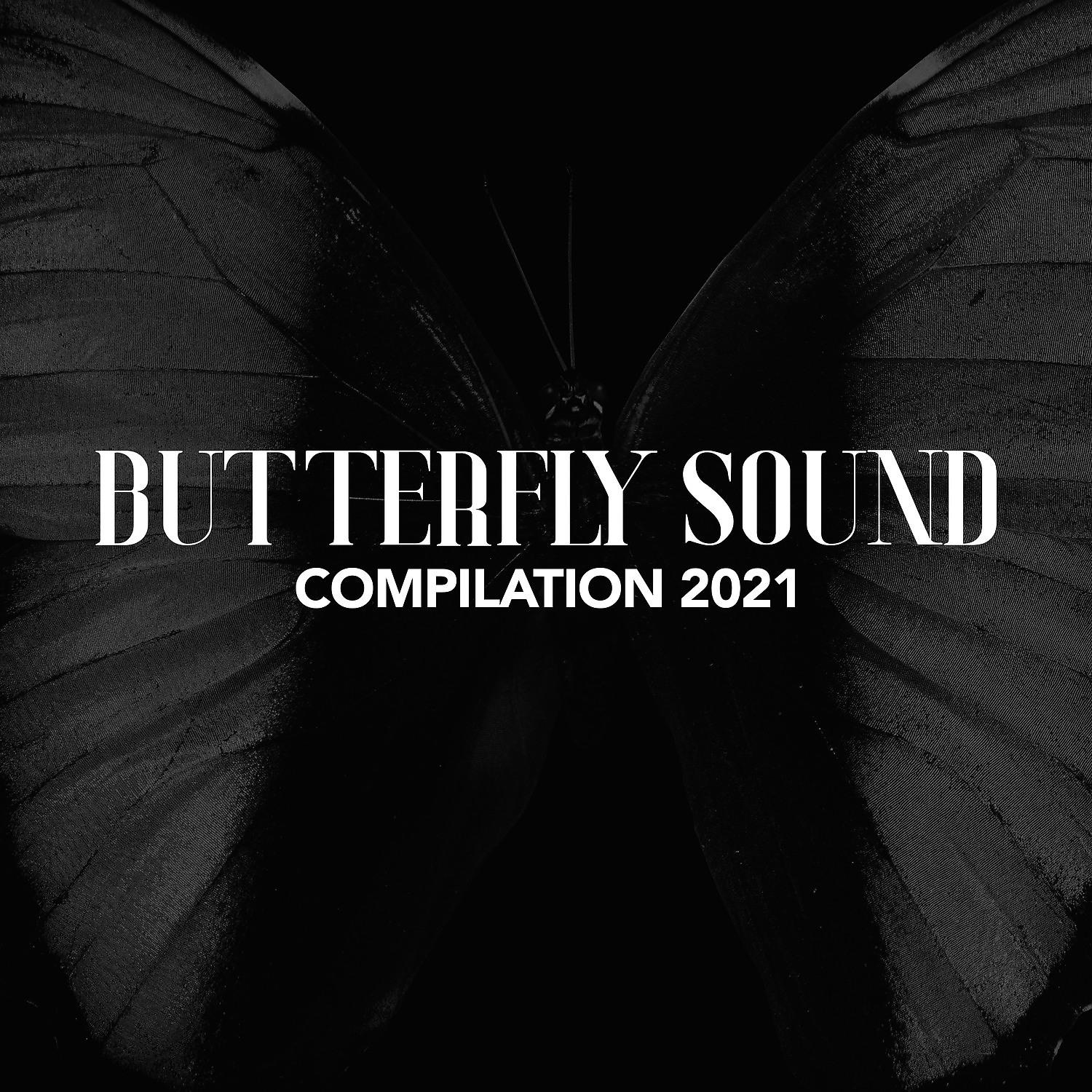 Постер альбома BUTTERFLY SOUND COMPILATION 2021