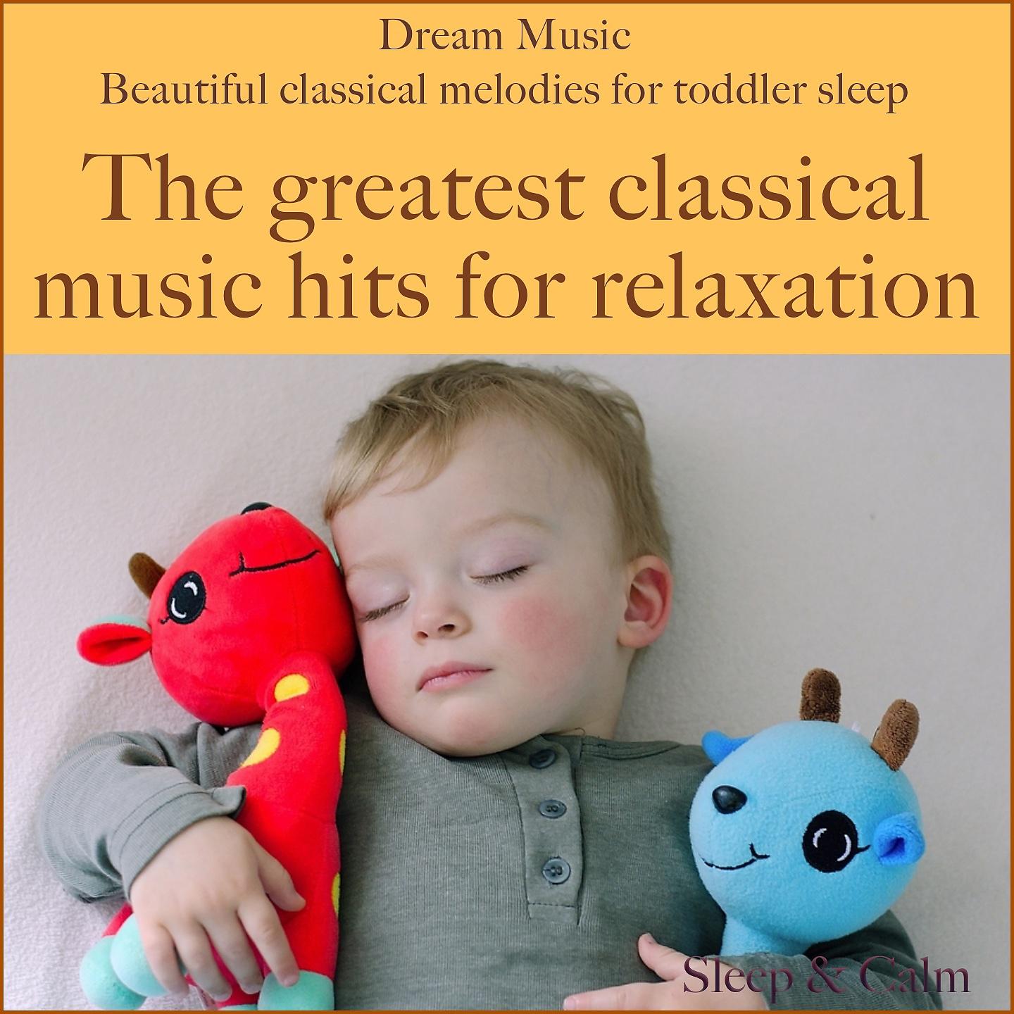 Постер альбома Dream music: beautiful classical melodies for toddler sleep