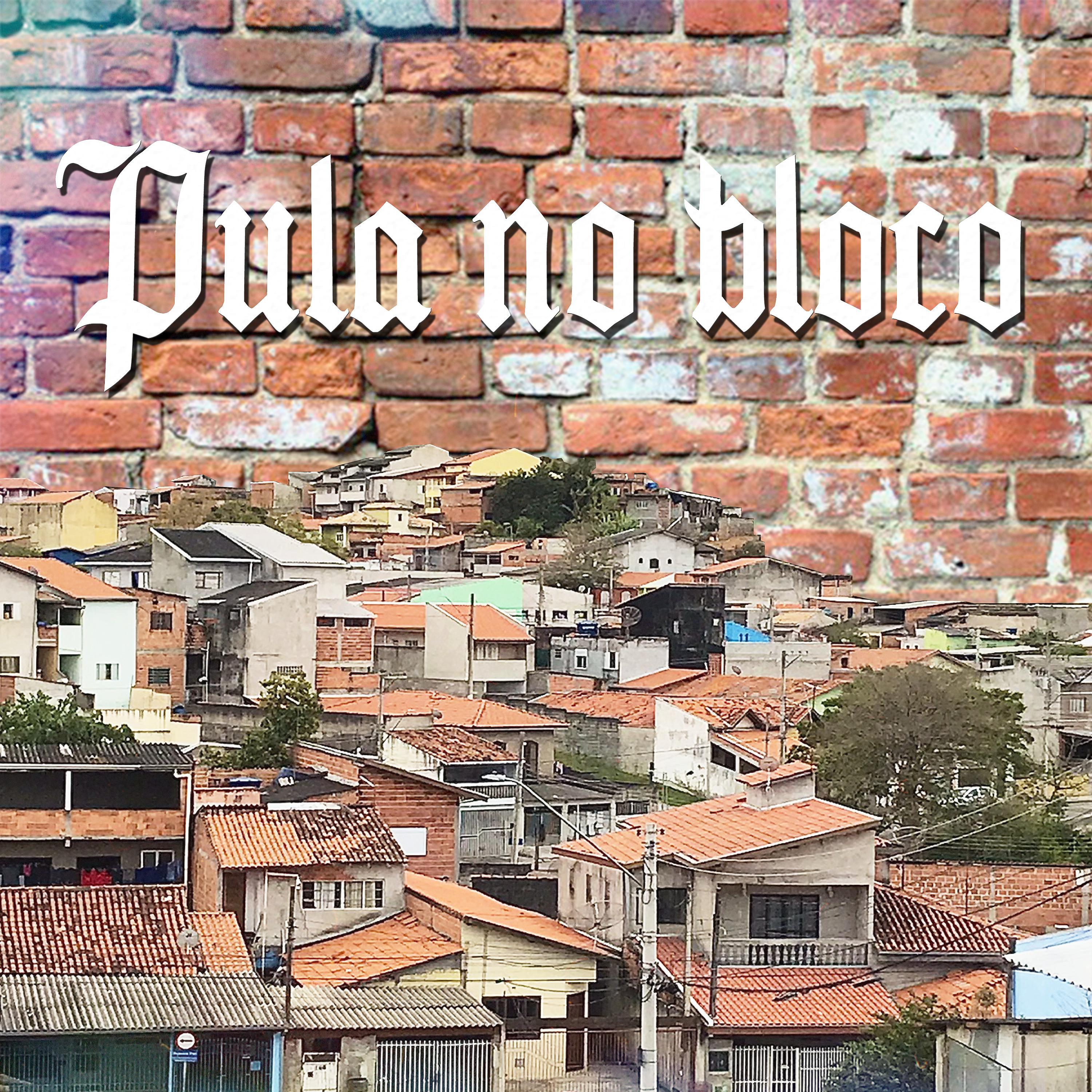 Постер альбома Pula no Bloco