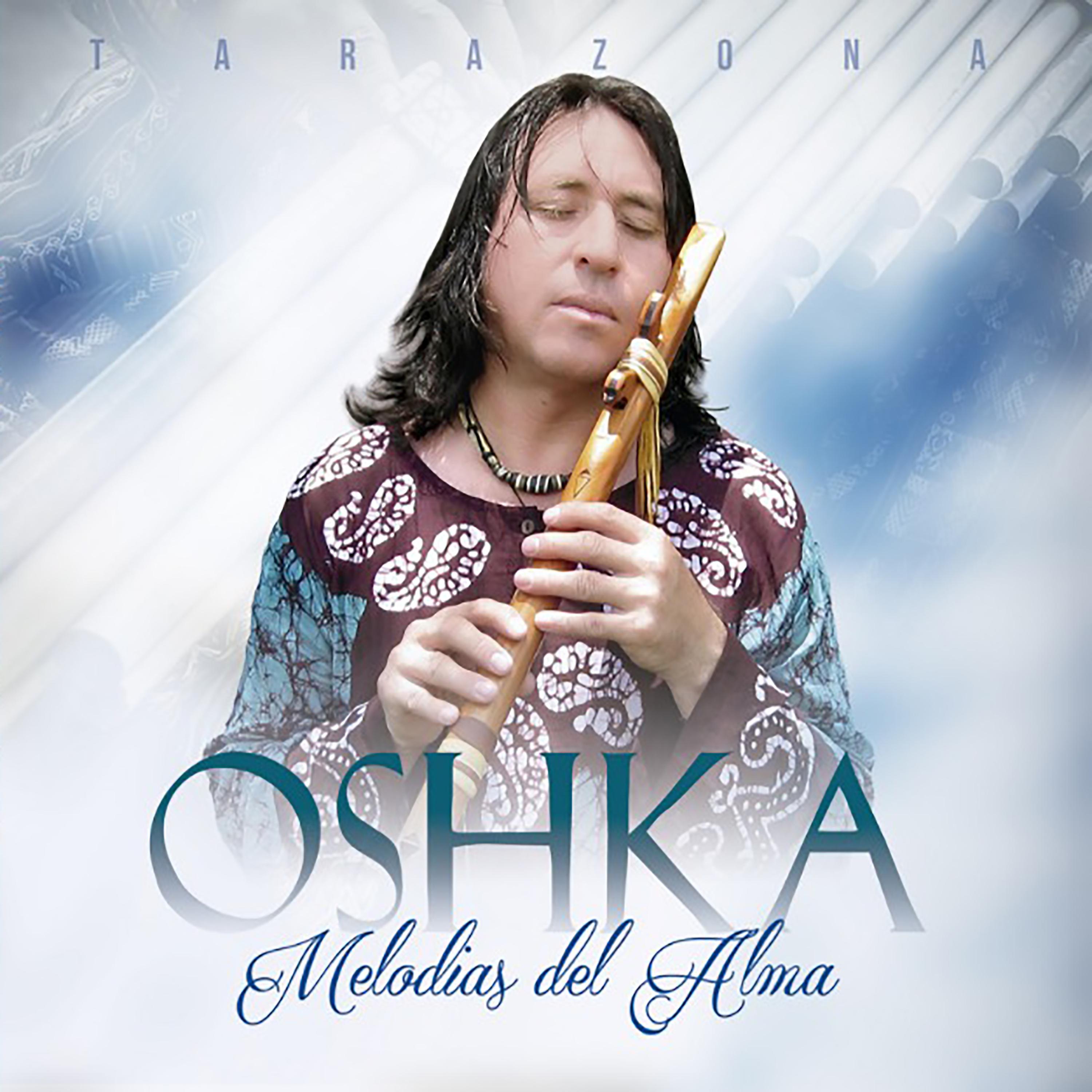 Постер альбома Melodías del Alma