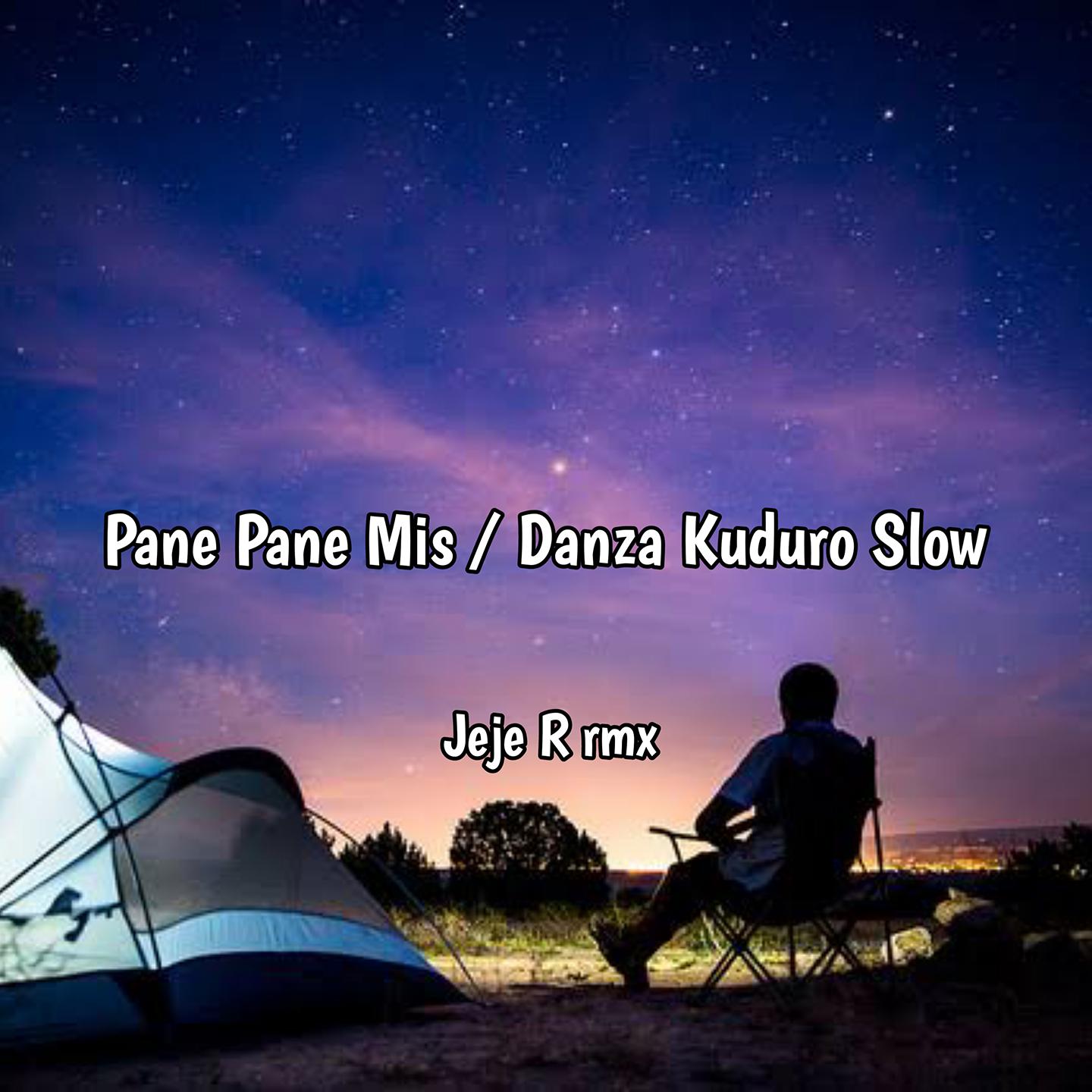 Постер альбома Pane Pane Mis / Danza Kuduro Slow
