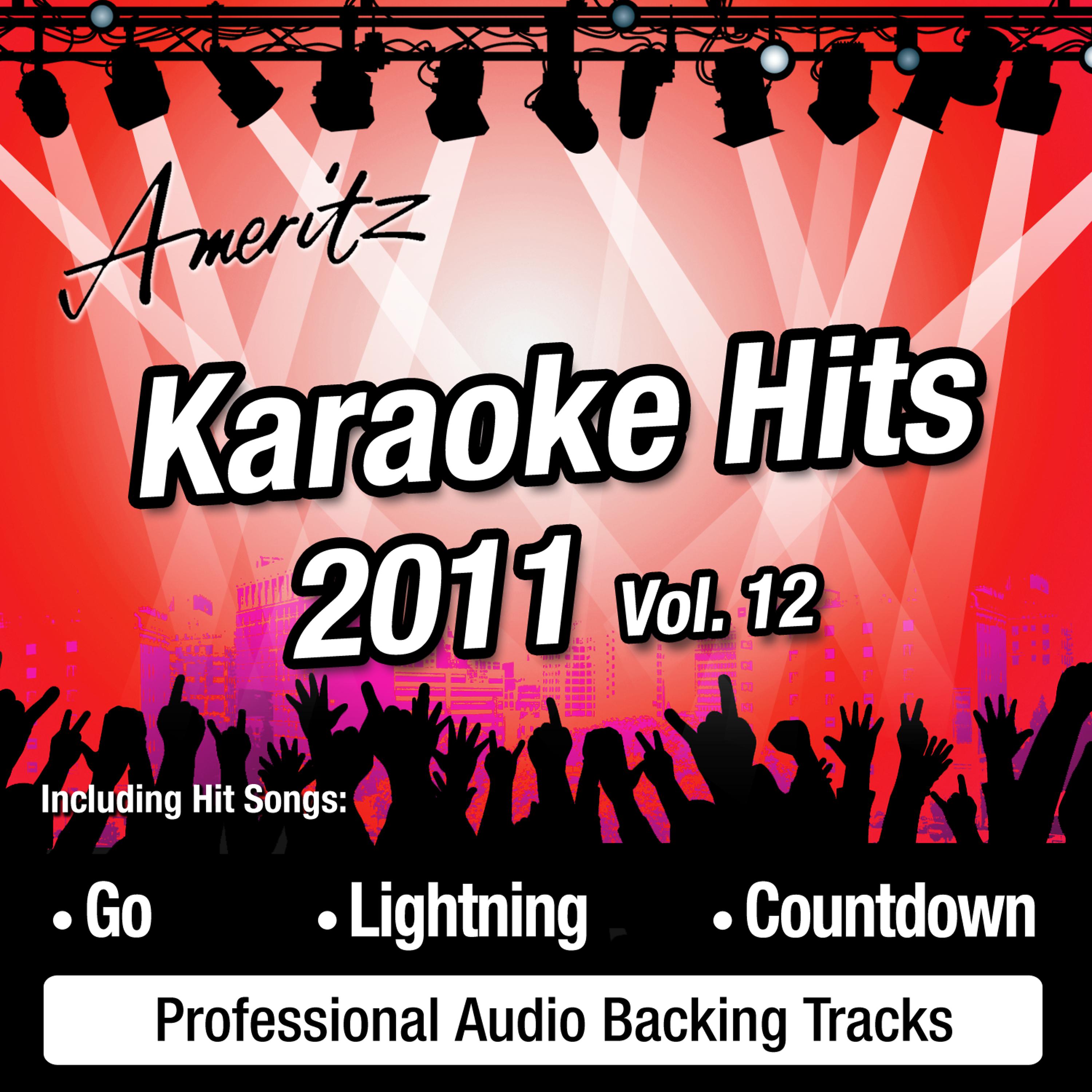 Постер альбома Karaoke Hits 2011 Vol. 12